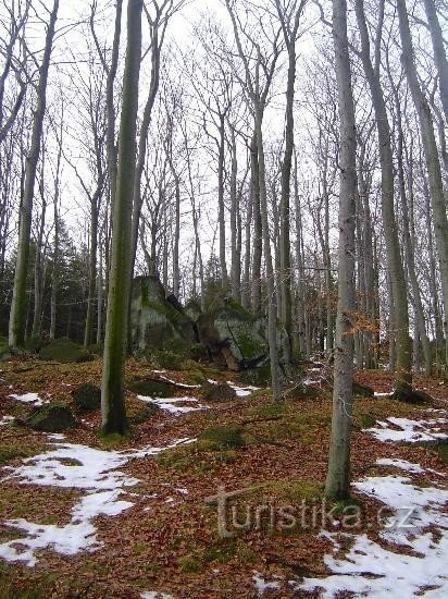 Bosques de Oldřichovske