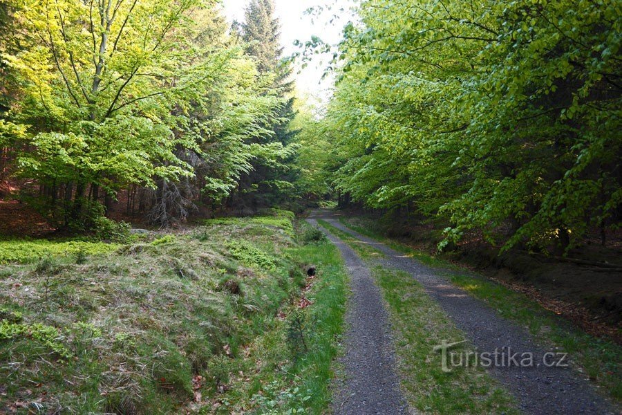 Oldřichov Haine und Felsen