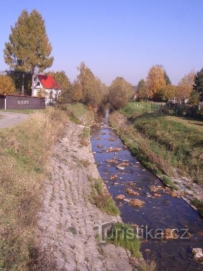 Olešná ob sotočju s potokom v Palkovicah