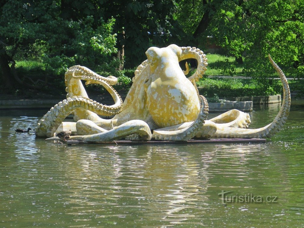 Olomouc – Octopus