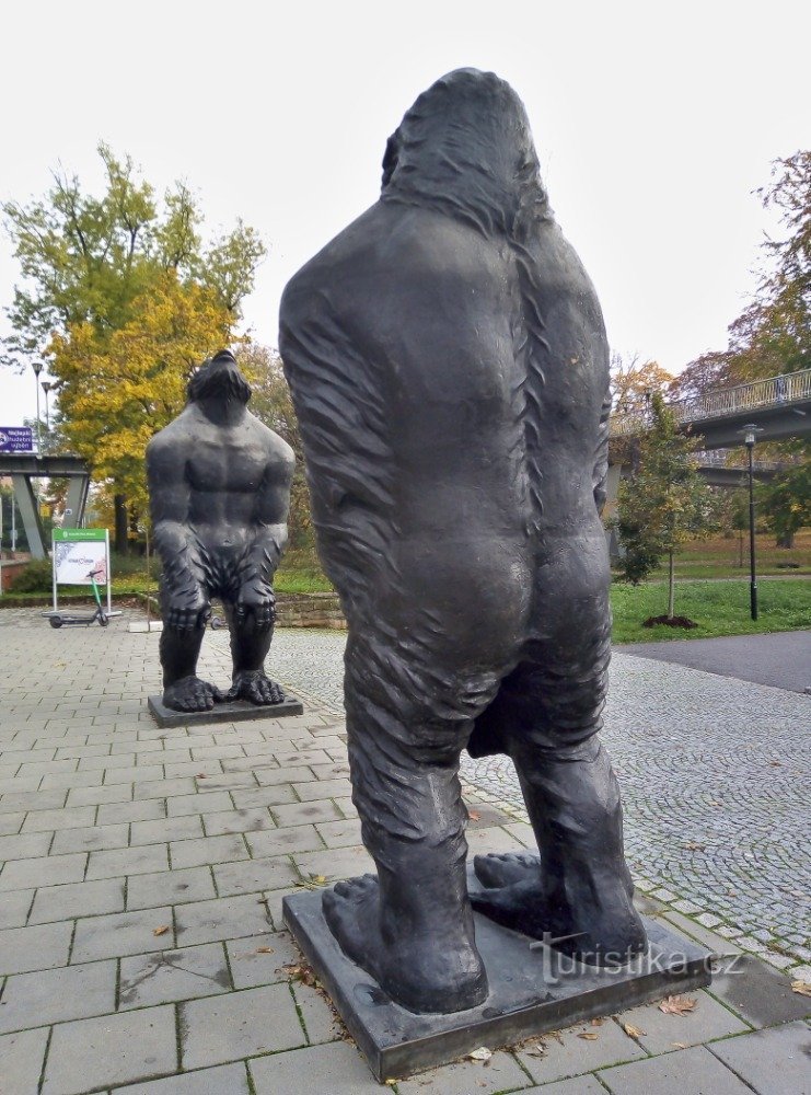 Scimmie Olomouc
