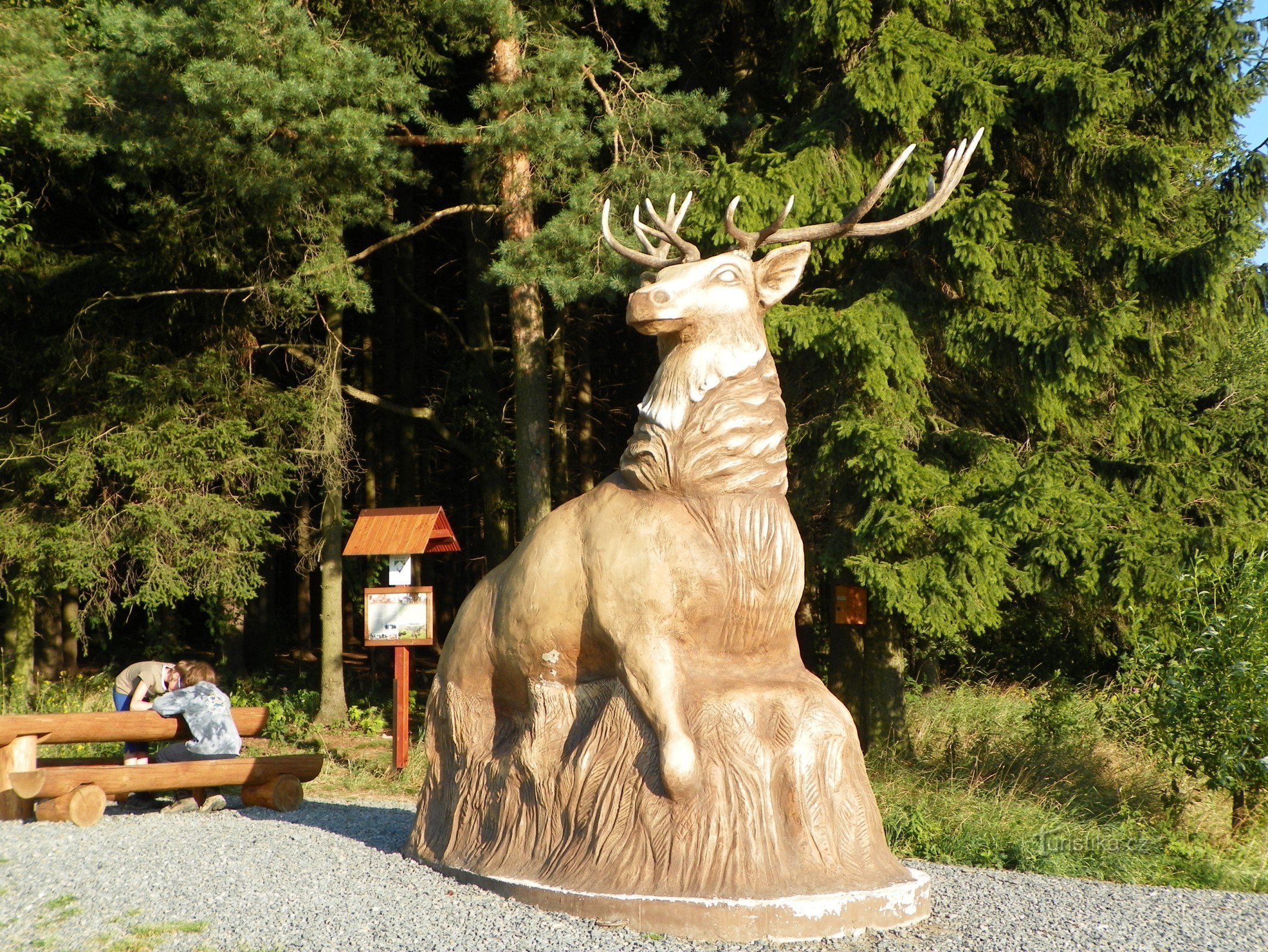 Il cervo di Olšiak vicino a Slavětín