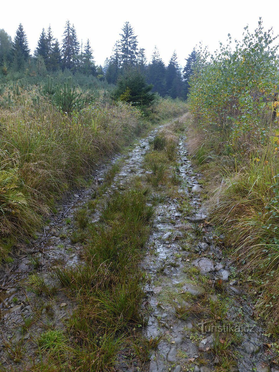 Ondřejník und Wiederentdeckung