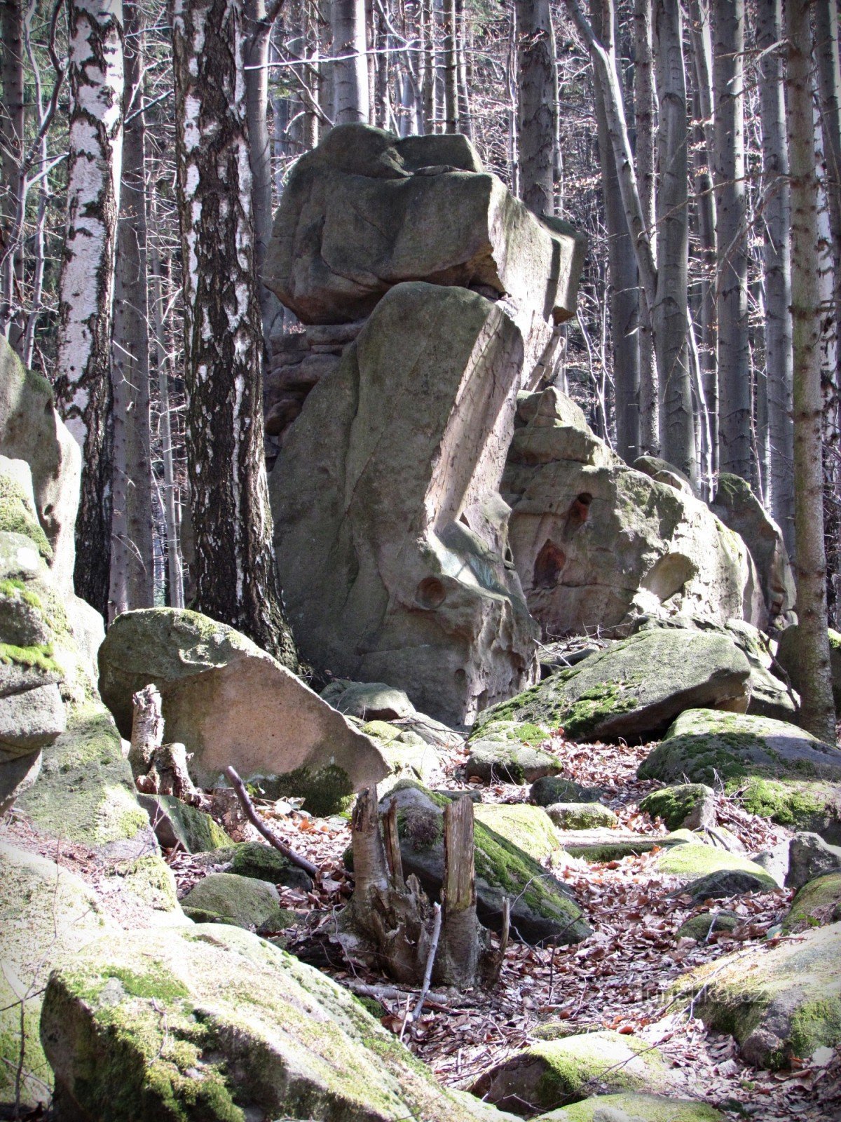 Ondřejovsko - Přední skály - TOOrlean