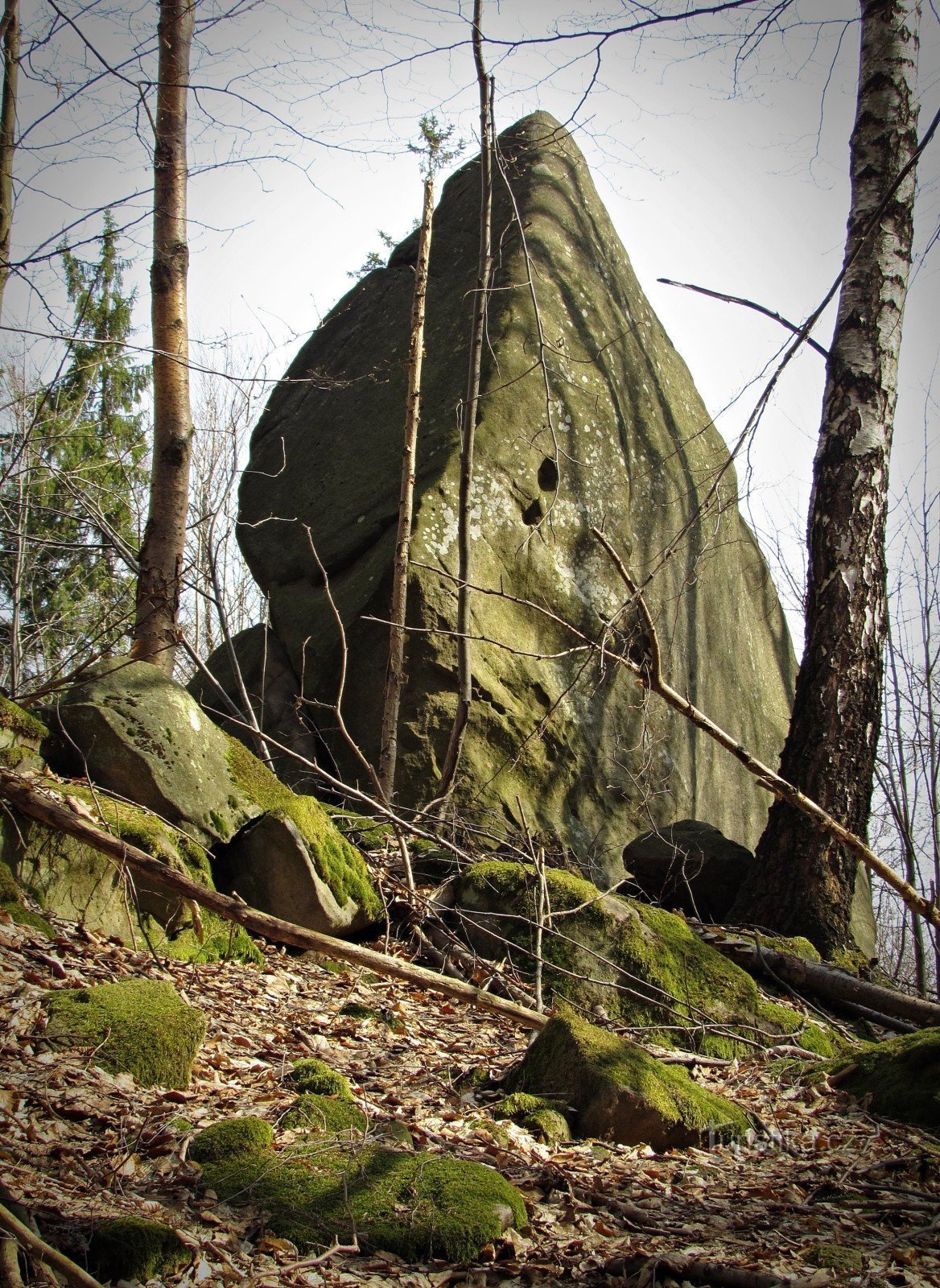 Regiunea Ondřejov - Zadní skaly - Homole