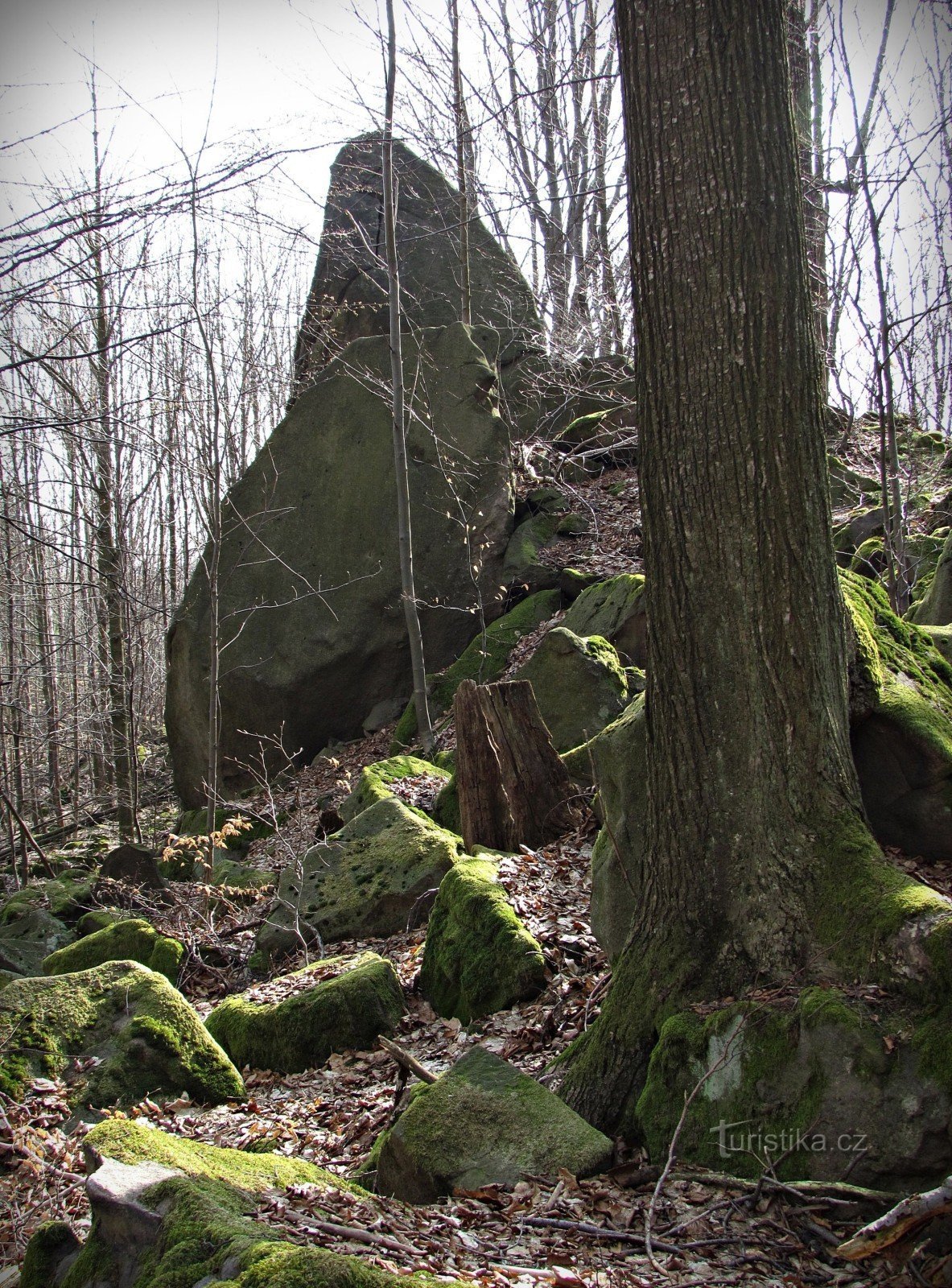 Región de Ondřejov - Zadní skaly - Homole