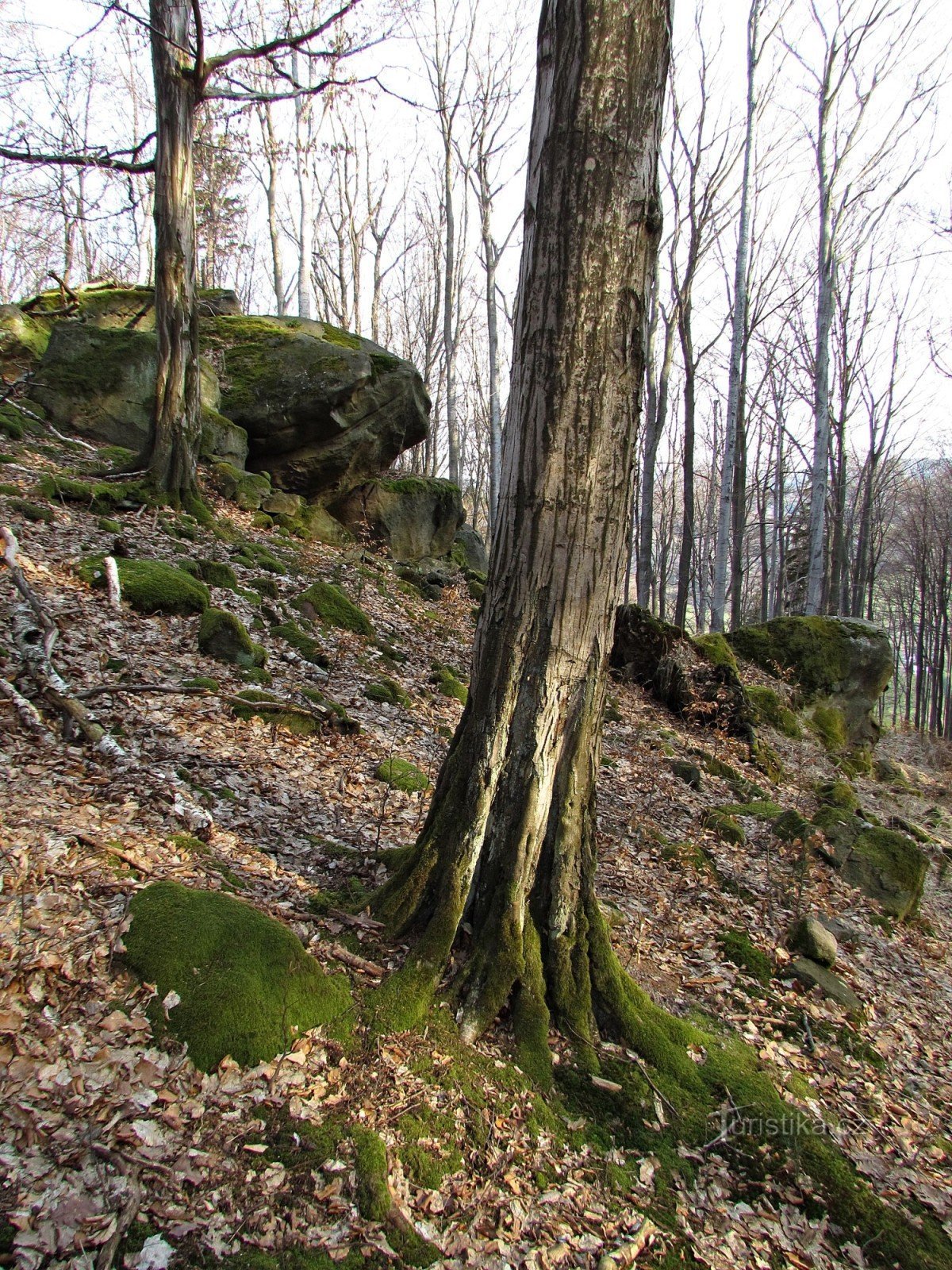 Ondřejovin alue - Zadní skaly - Cascade