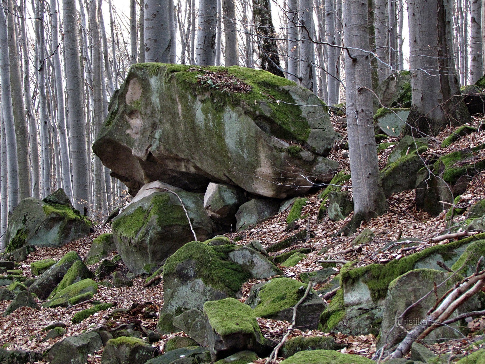 Ondřejov-regionen - Zadní skaly - Mellemriget