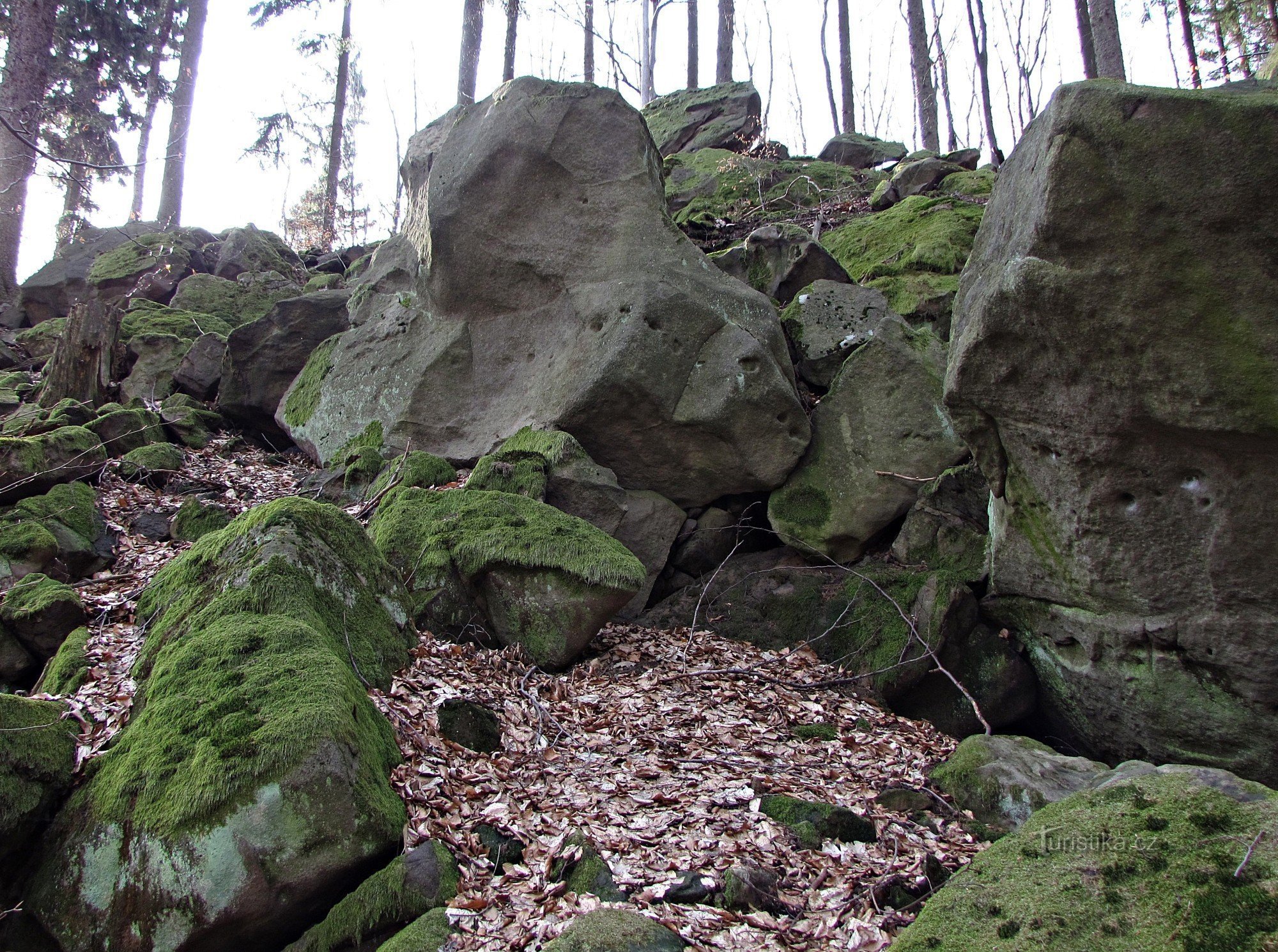 Ondřejov-regionen - Zadní skaly - Mellersta kungariket