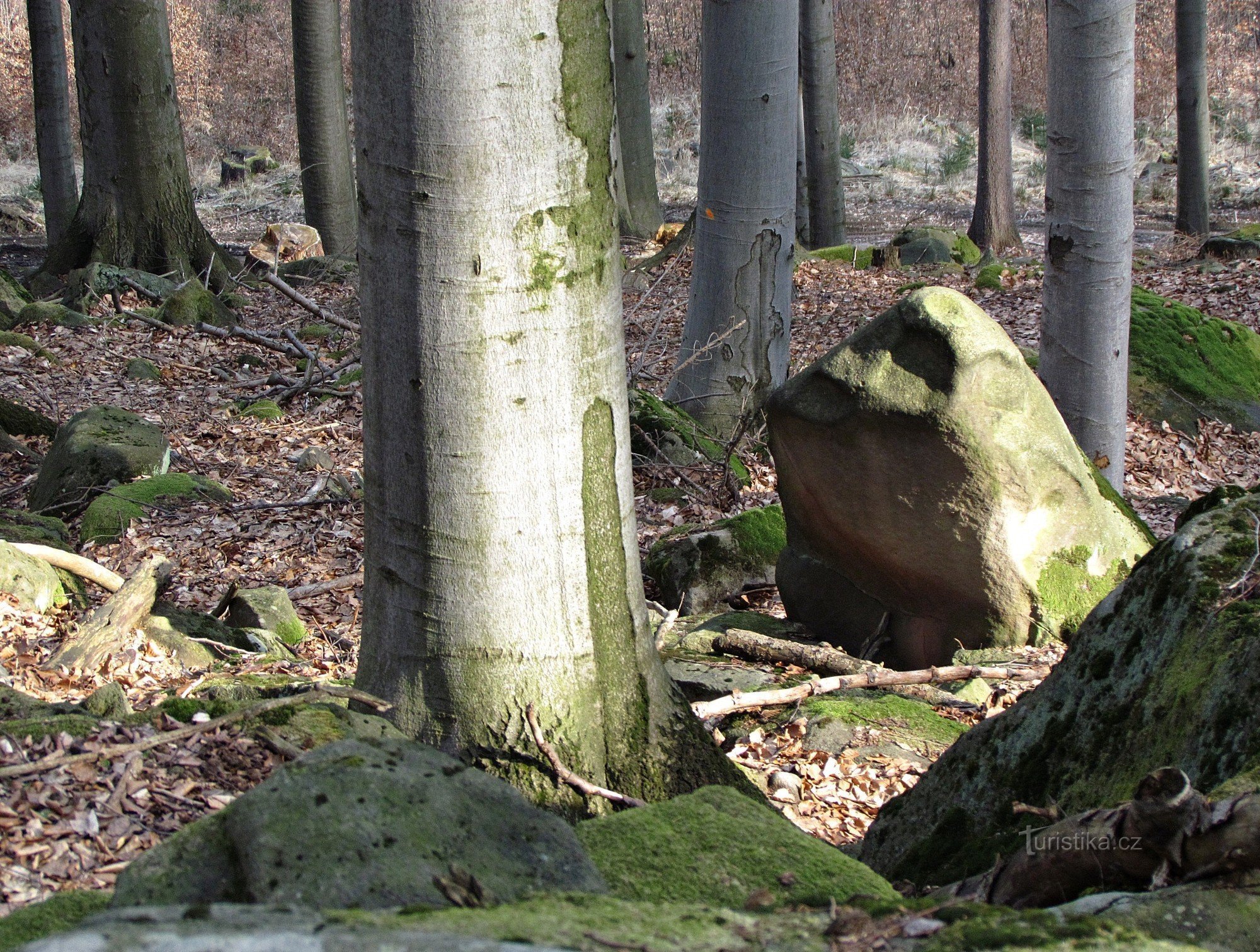 Ondřejov-regionen - Zadní skaly - Mellersta kungariket