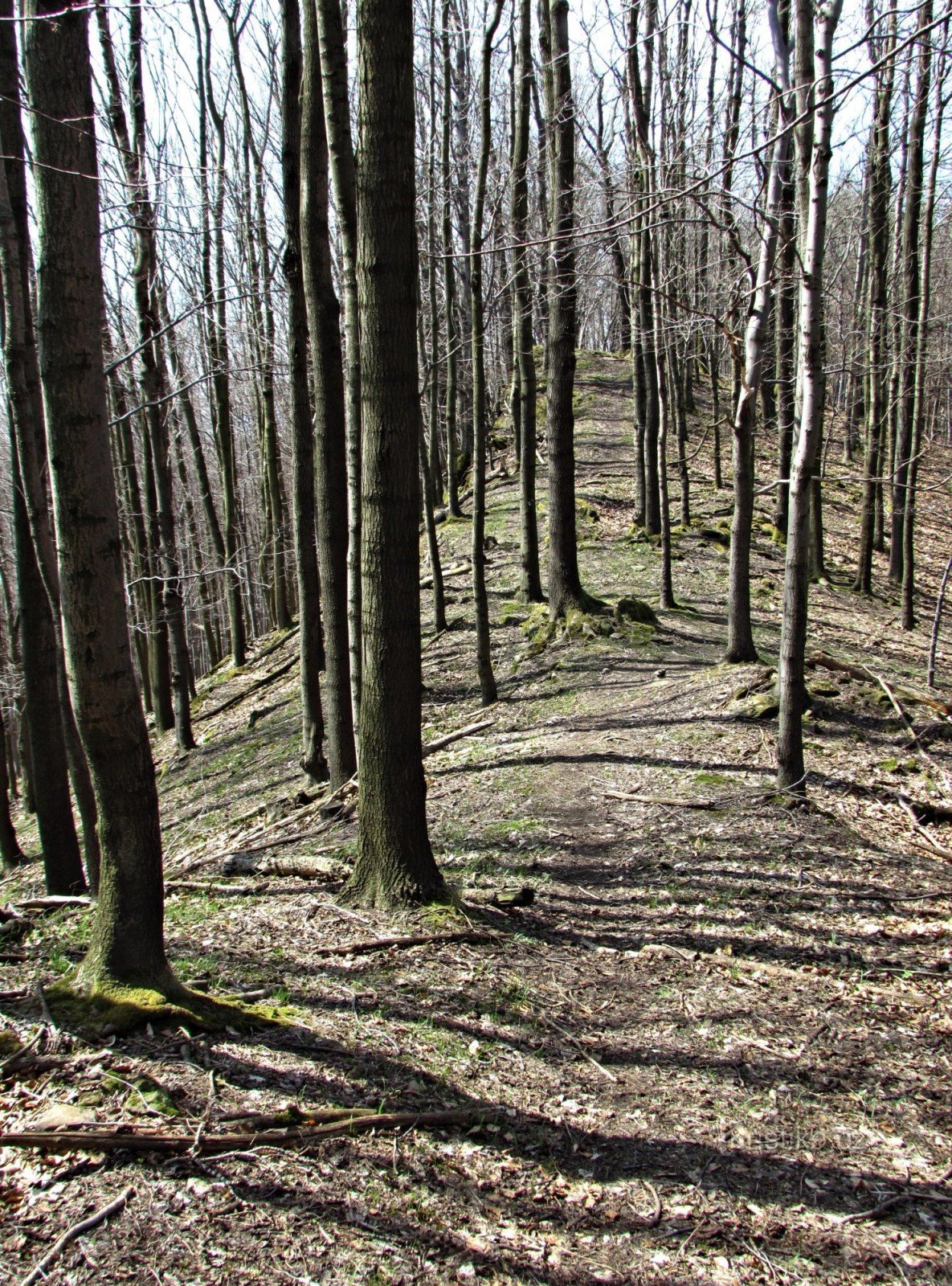 Ondřejovsko - nyugati csúcs (632 m)