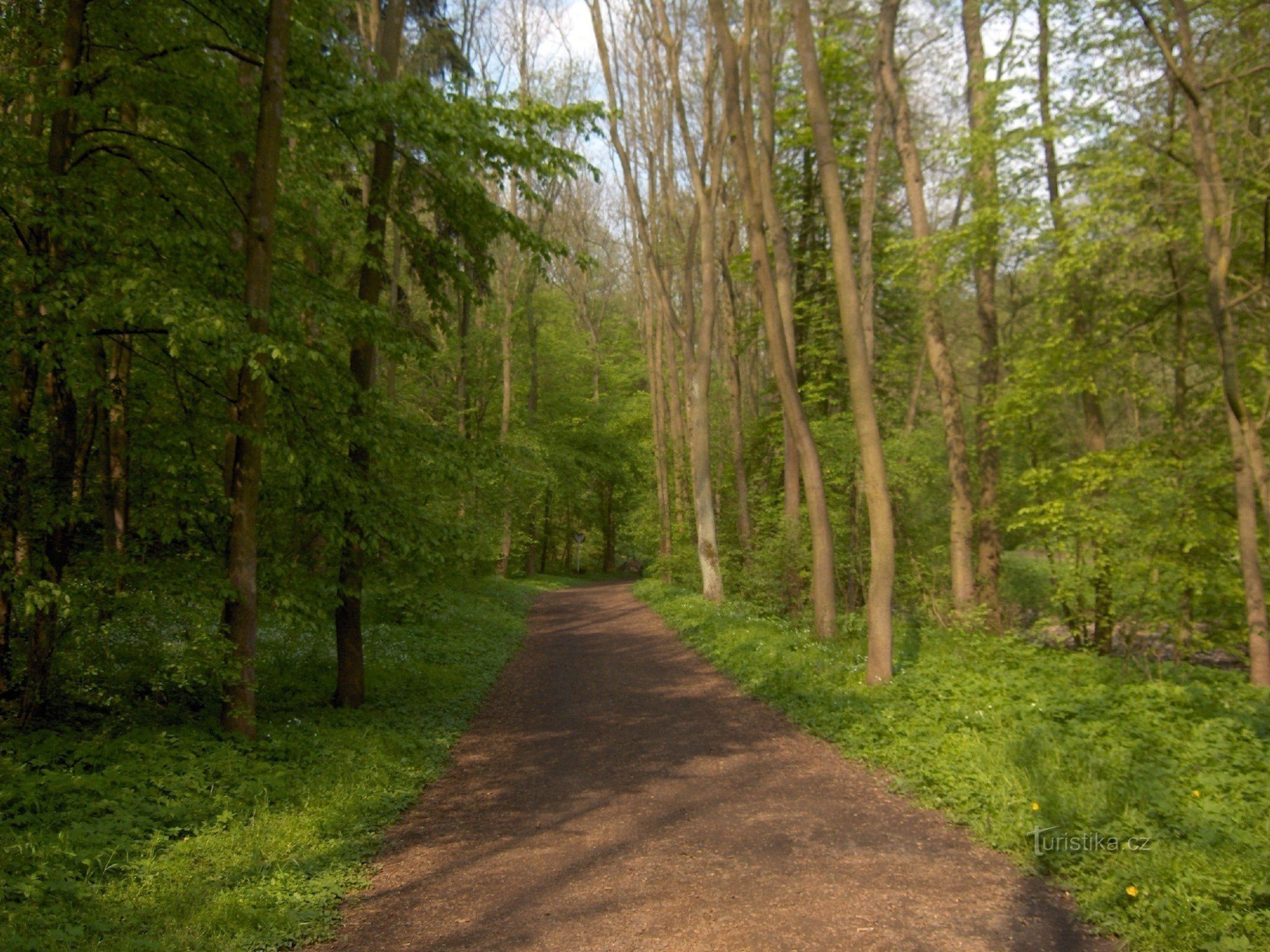 Vallée d'Oparen