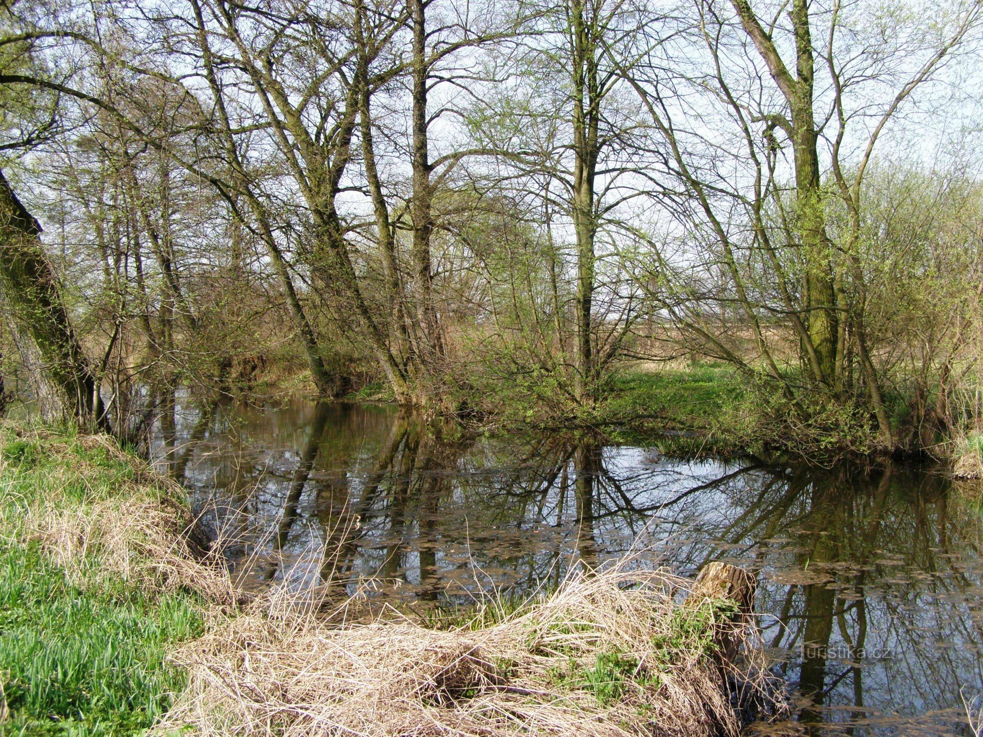 Opatovice kanal