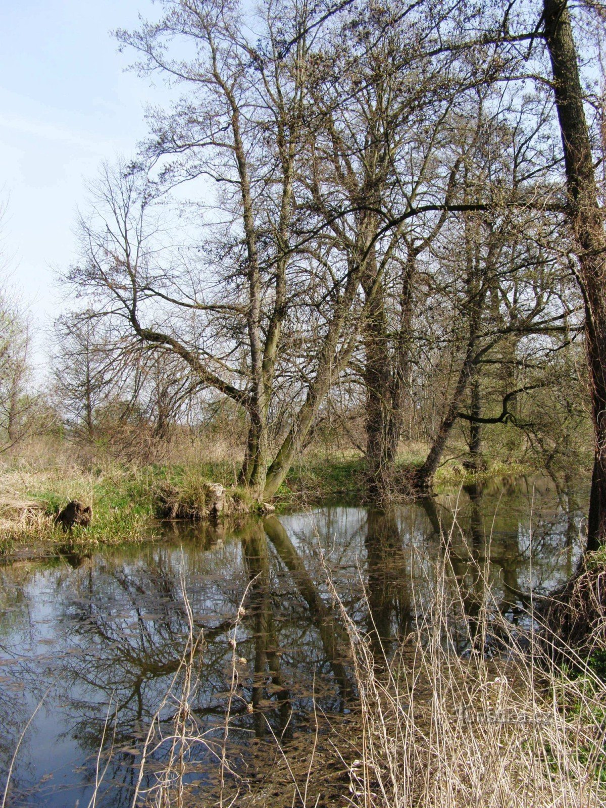 Opatovice-Kanal