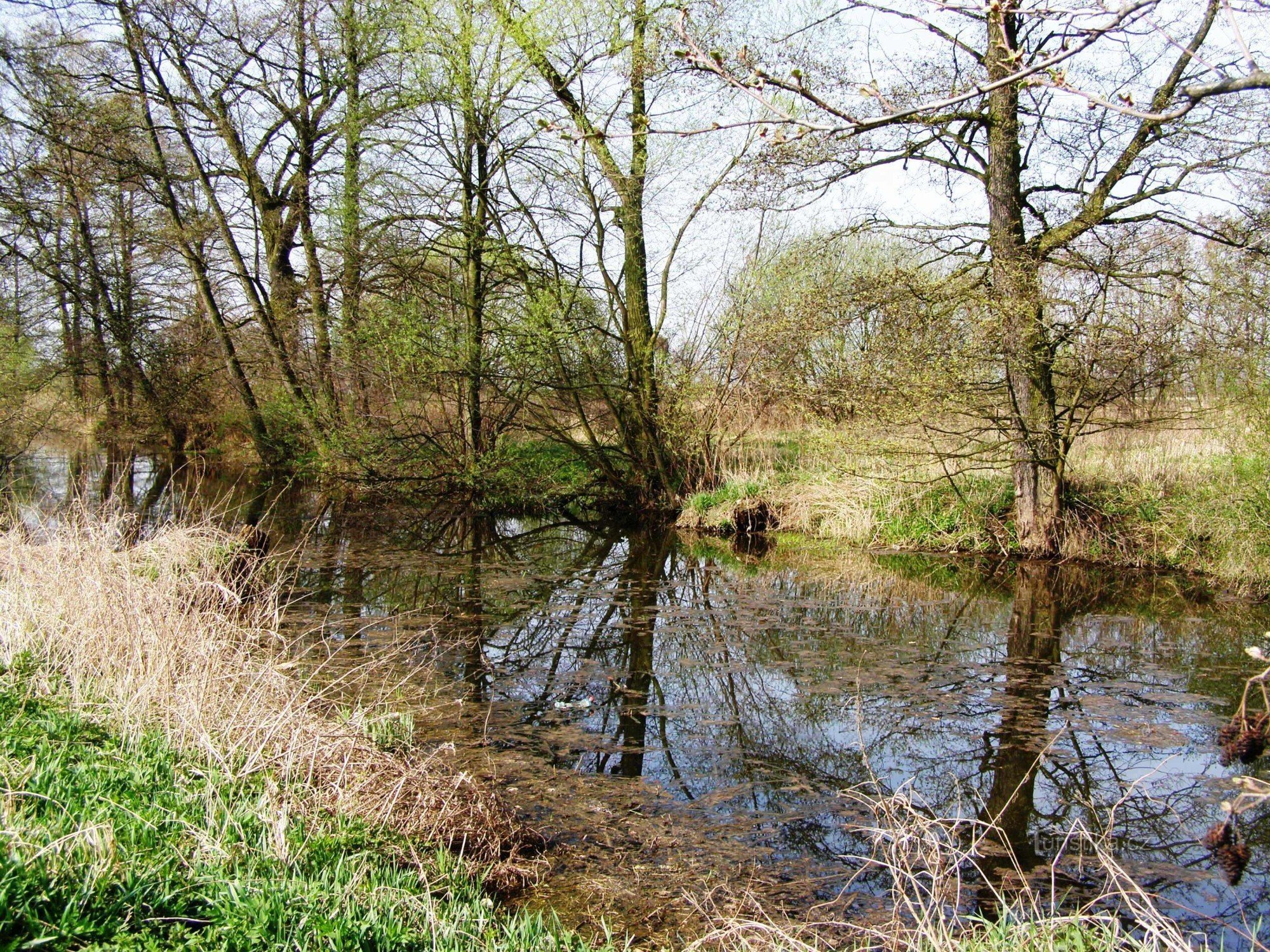 Kanal Opatovice