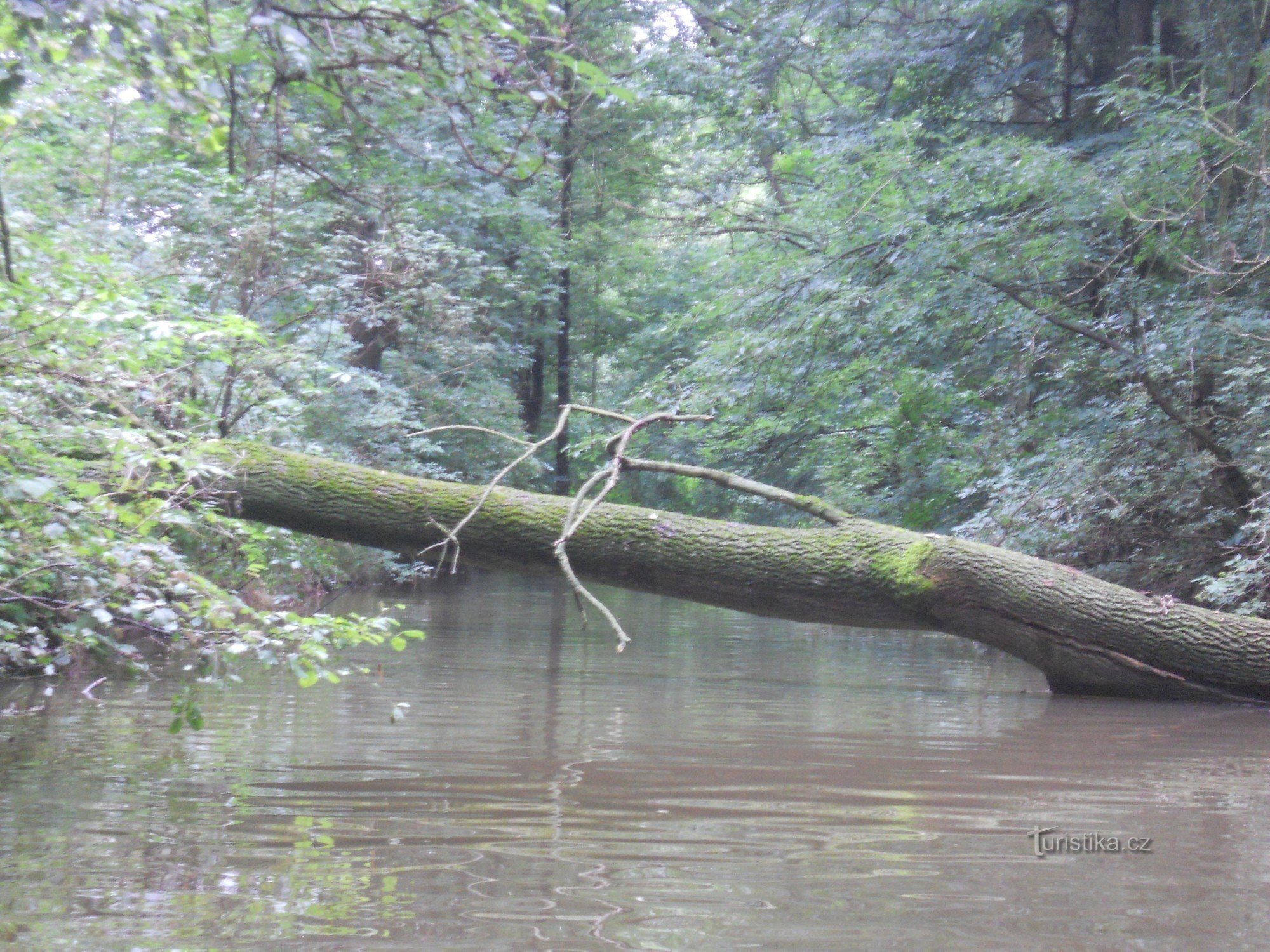 Opatvice kanaal.