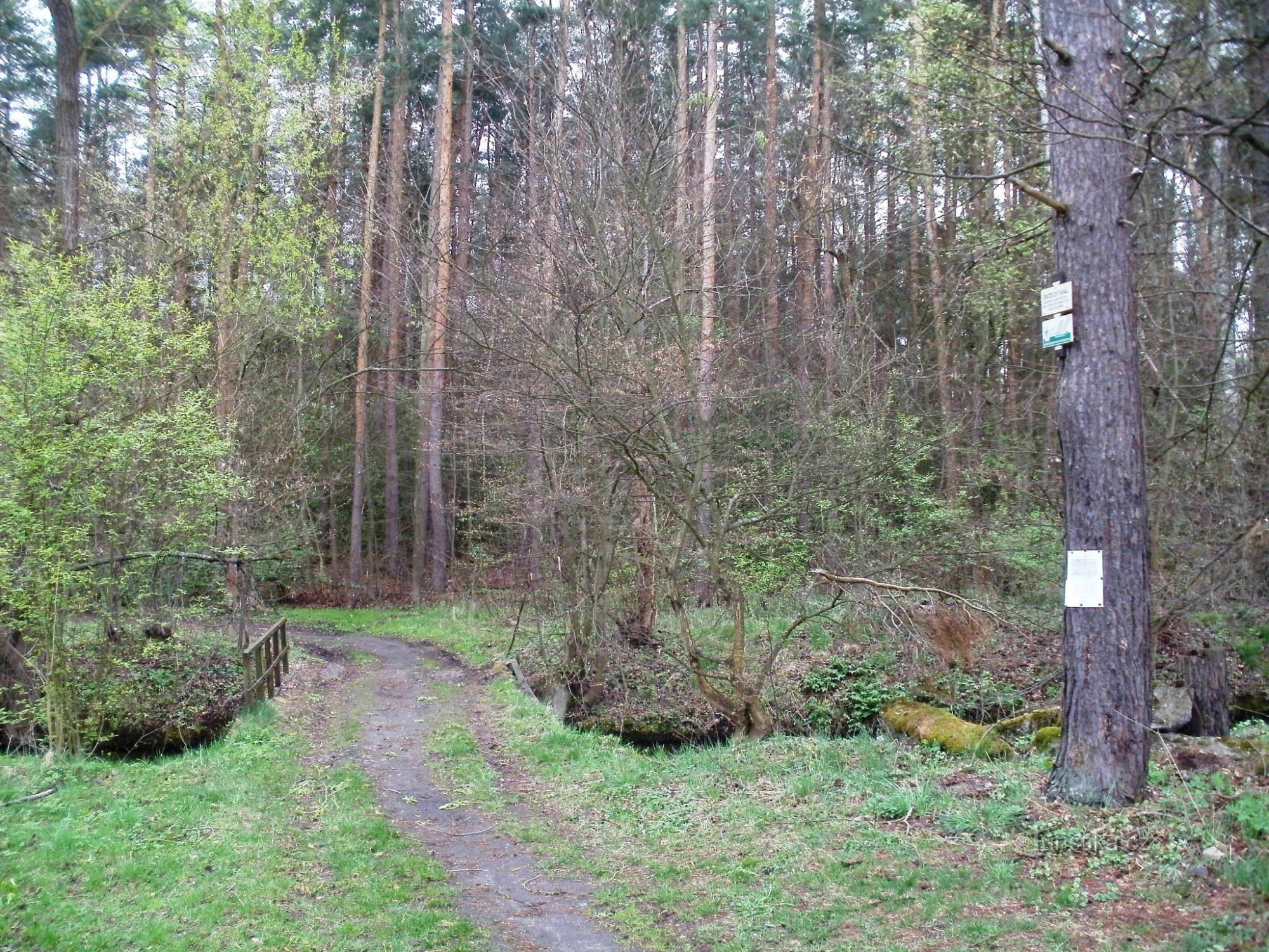 Canal Opatovice perto de Břehů