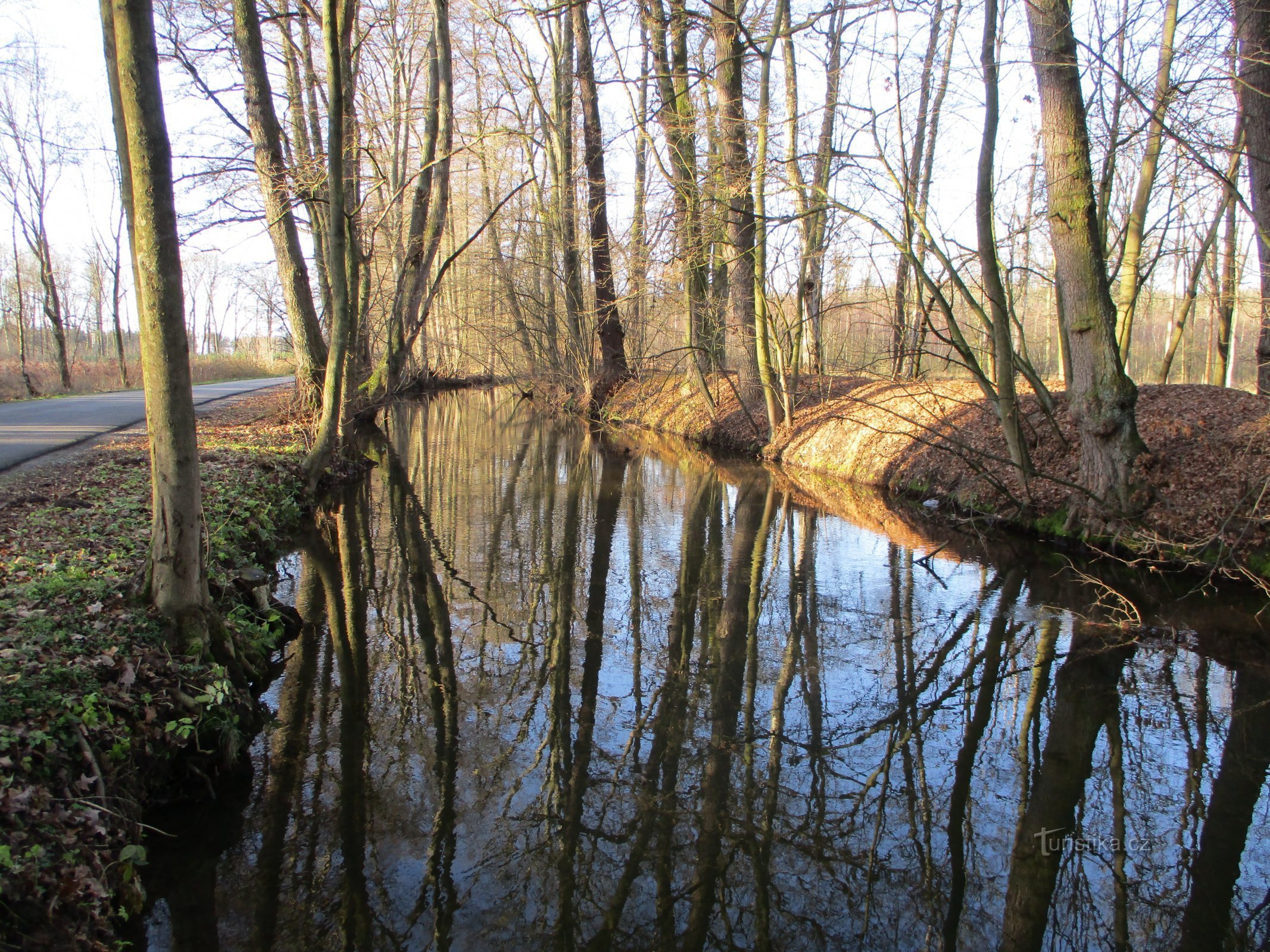 Opatovice canal near Kulhánov (Čeperka)