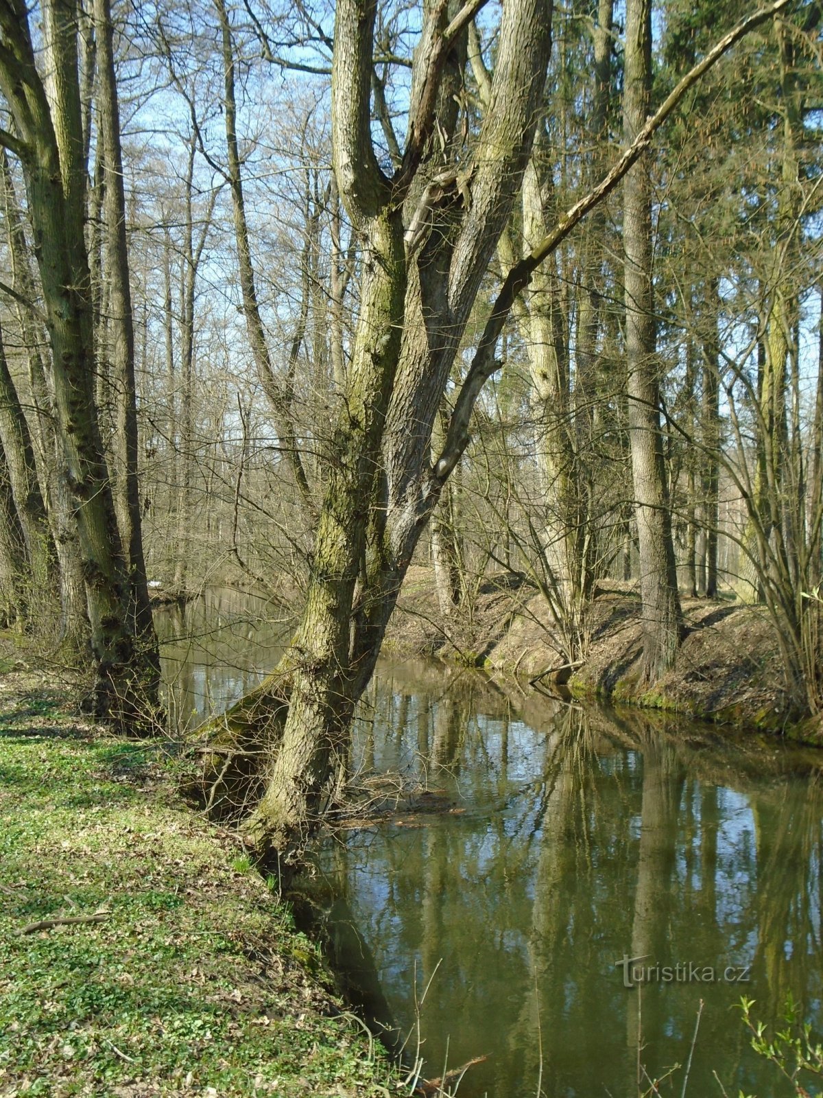 Kulhánov (Čeperka) 附近的 Opatovice 运河