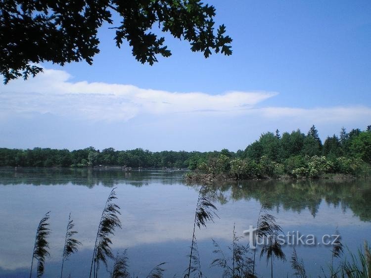 Opatovice pond.