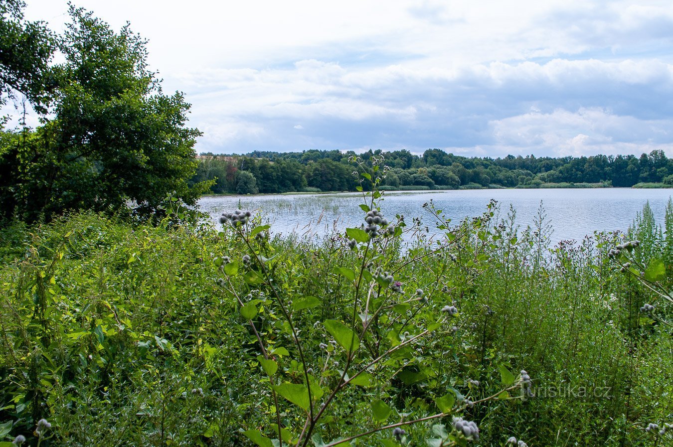 Opatovské damme – Hvězda