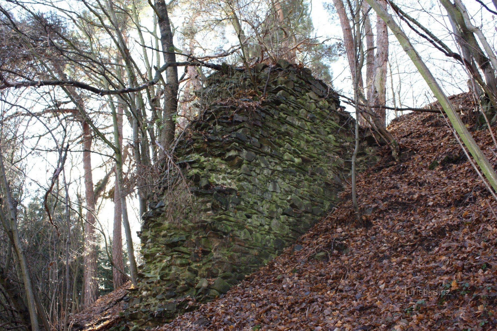 Il pilastro portante del castello