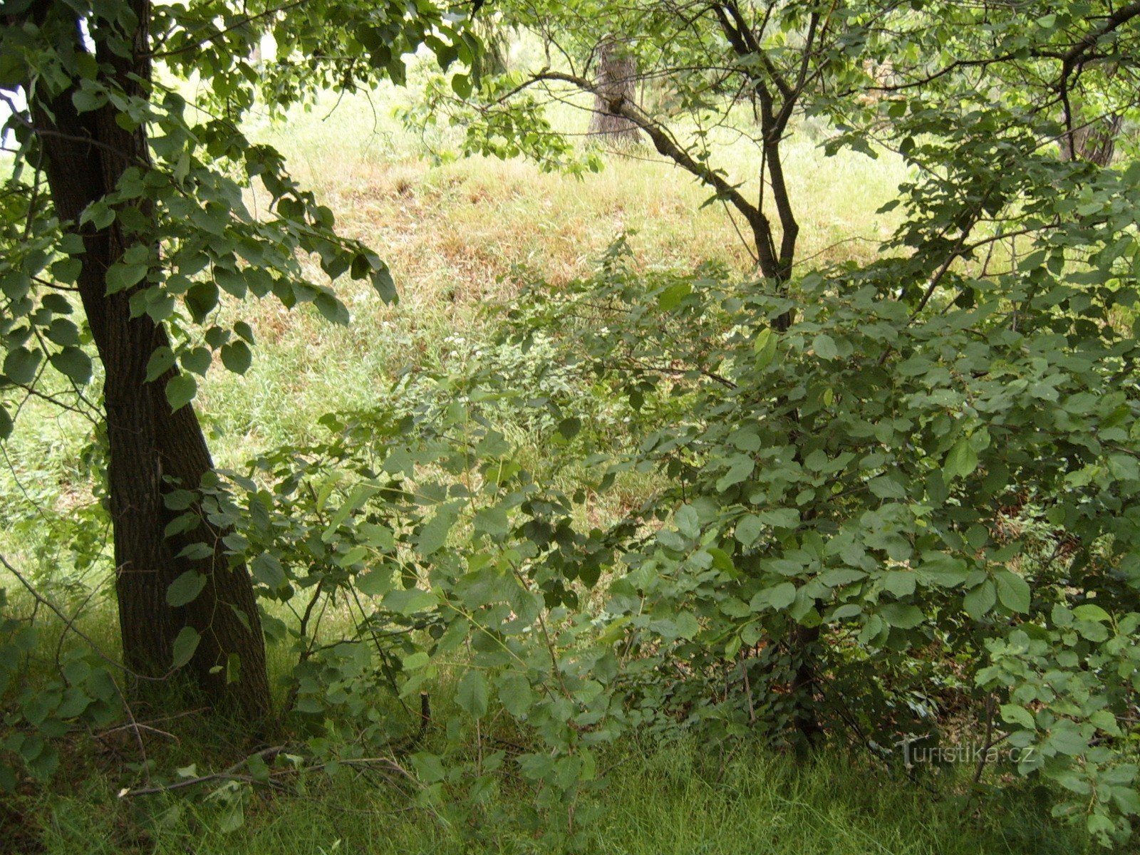 Fortifications sur le Calvaire