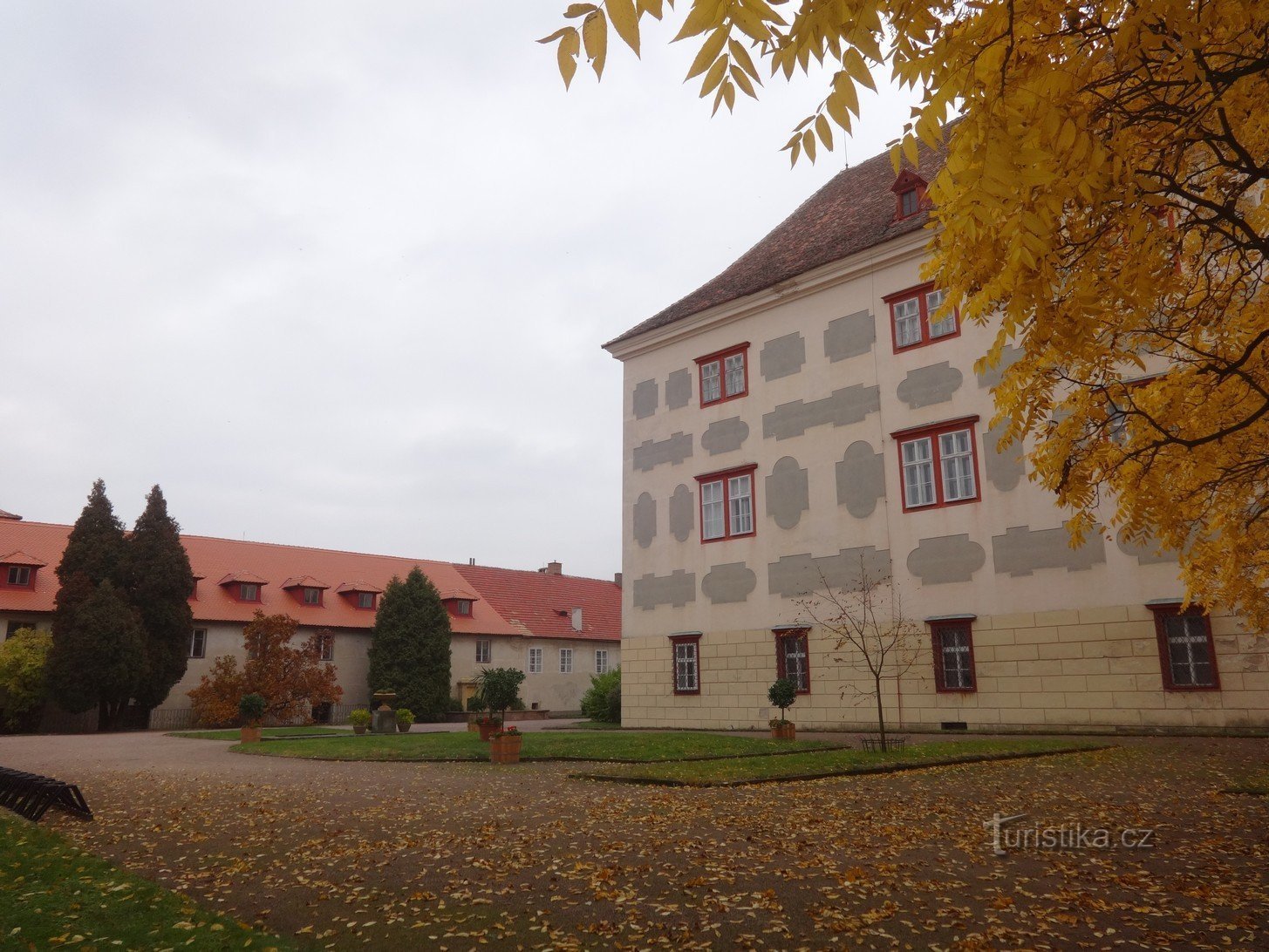 Opočno - un castello e un bellissimo albero di noce