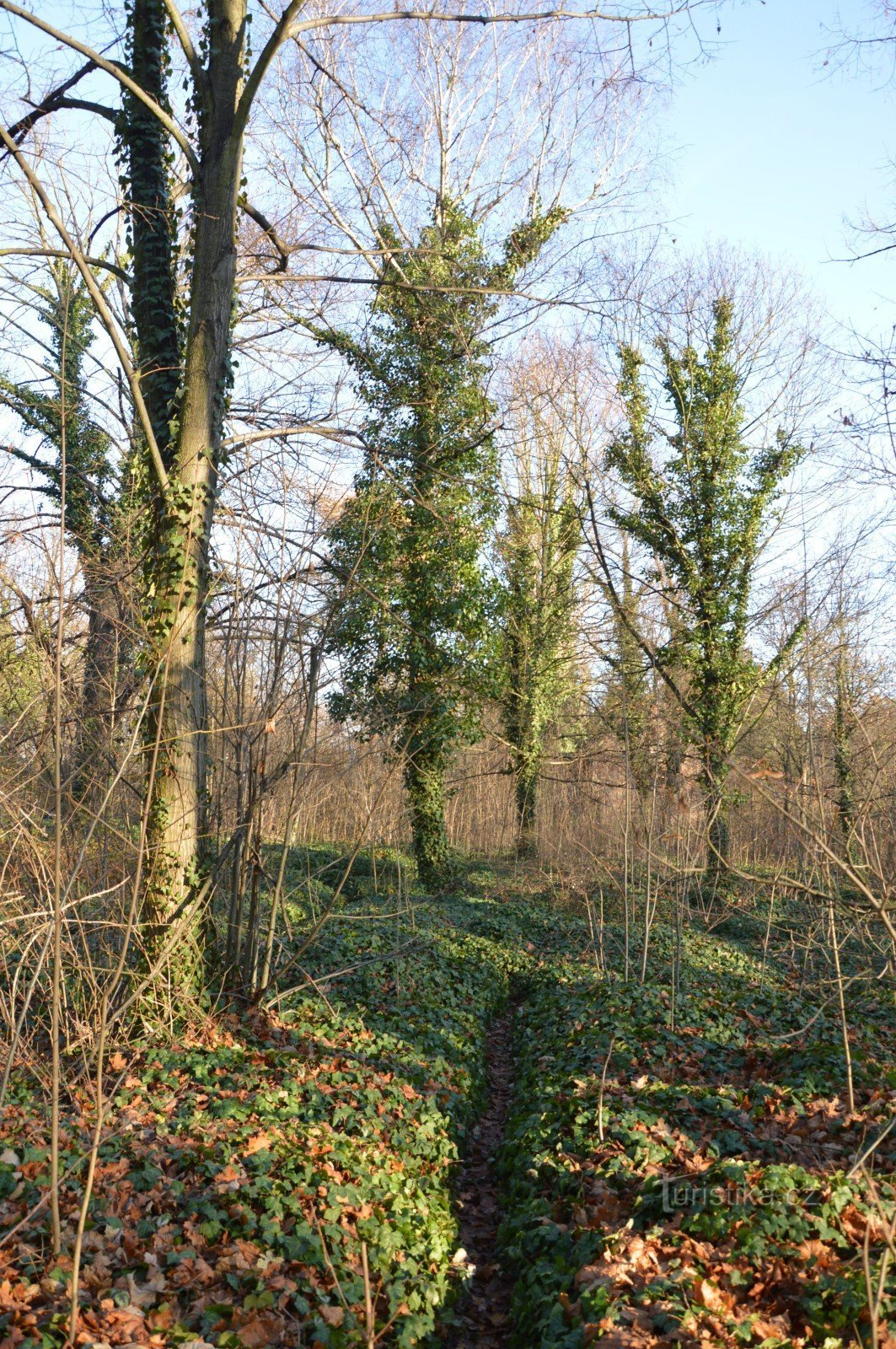 forladte grave