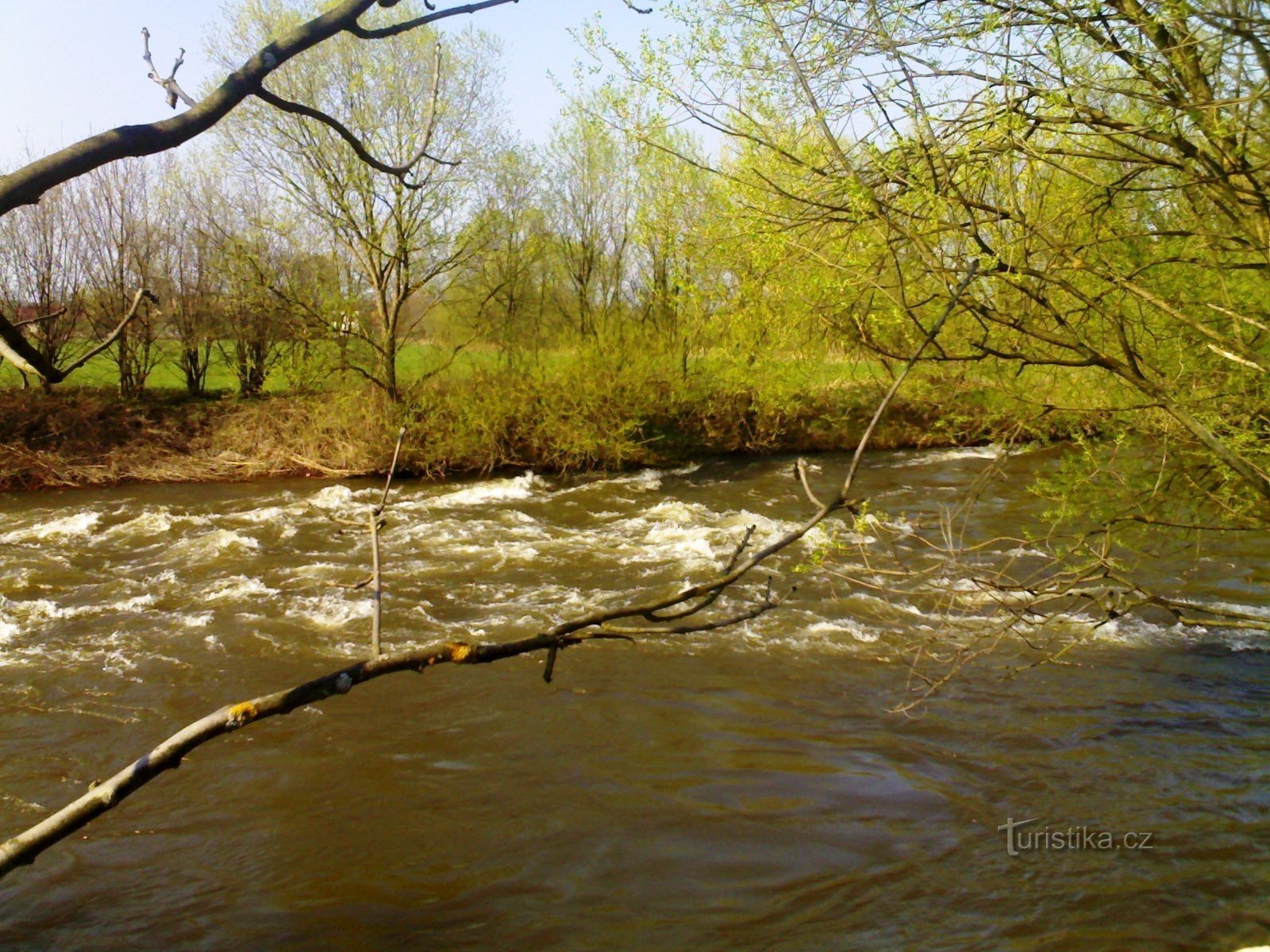 Orlice - forsar under Bělčí