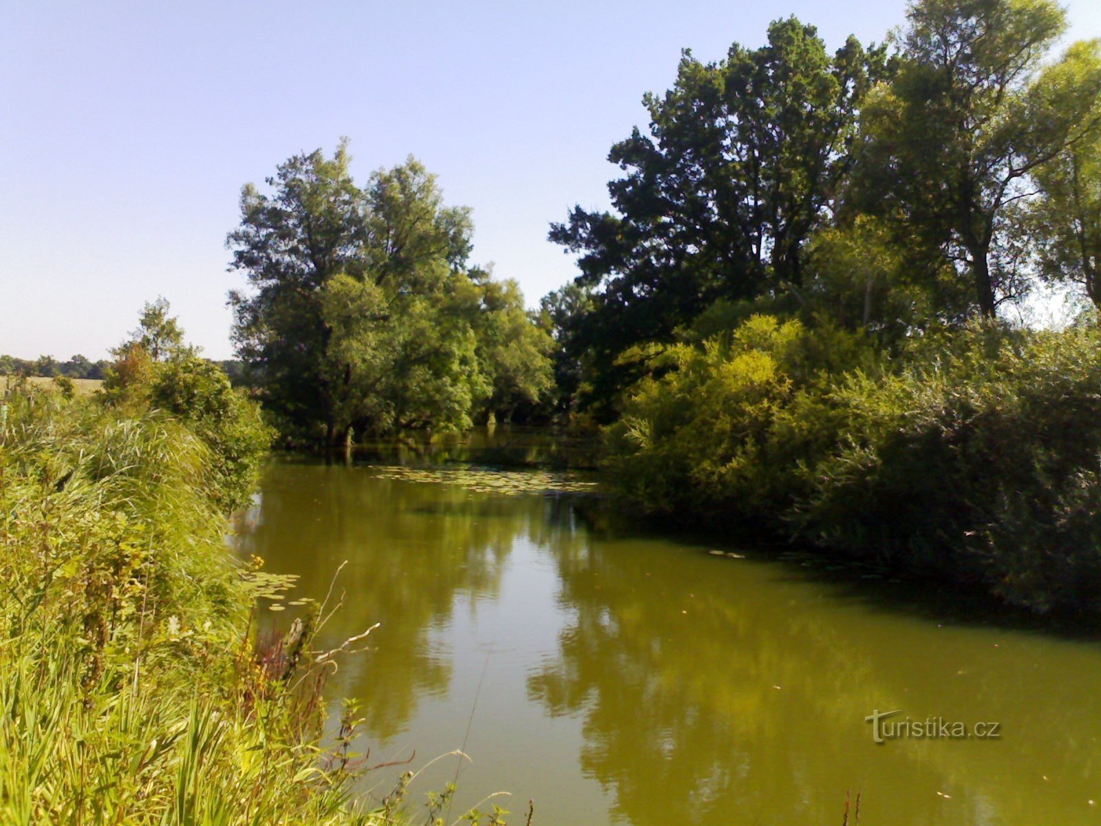 Orlice - blinde schouders