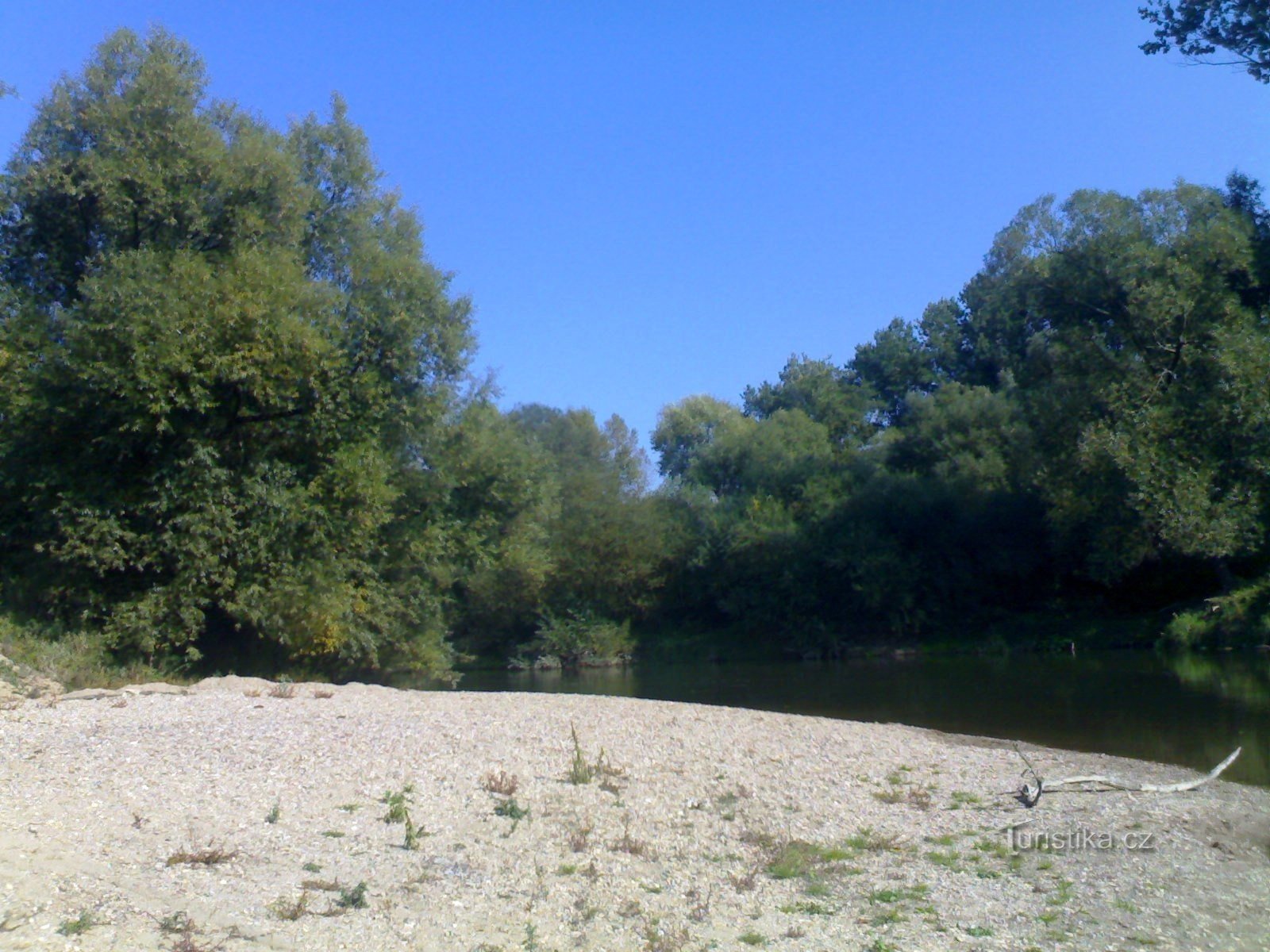 Adler bei Krňovice