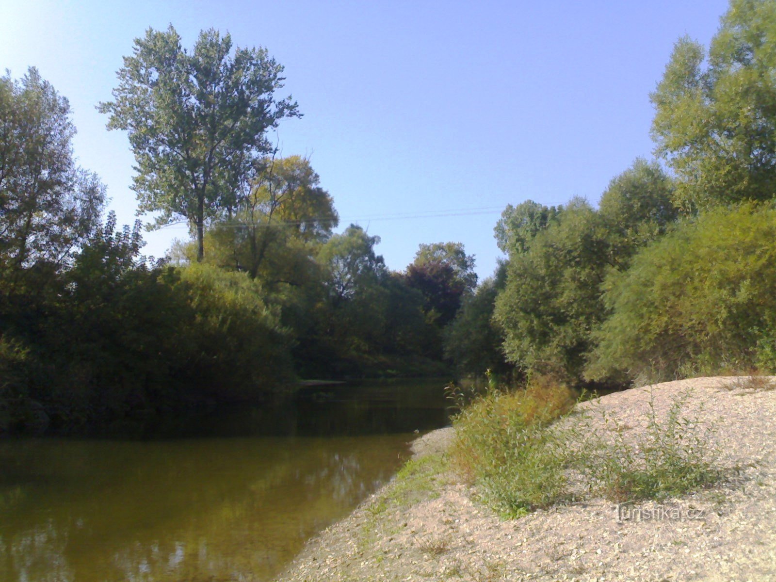 Adler bei Krňovice