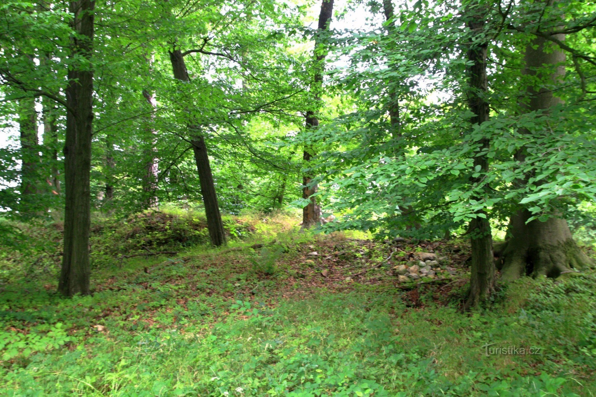 Orlík - restes pourris envahis par la végétation des murs de fondation