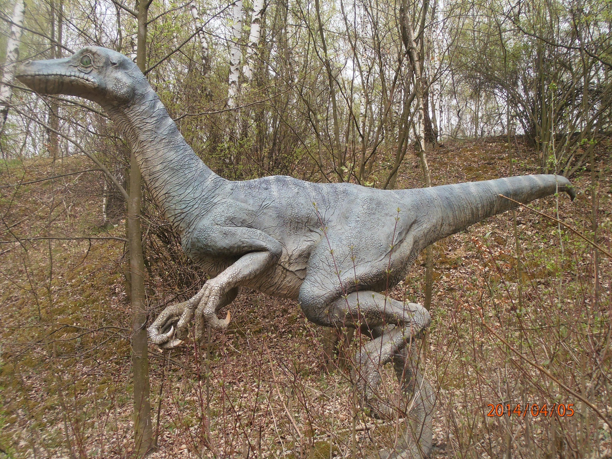 Ornitomimus