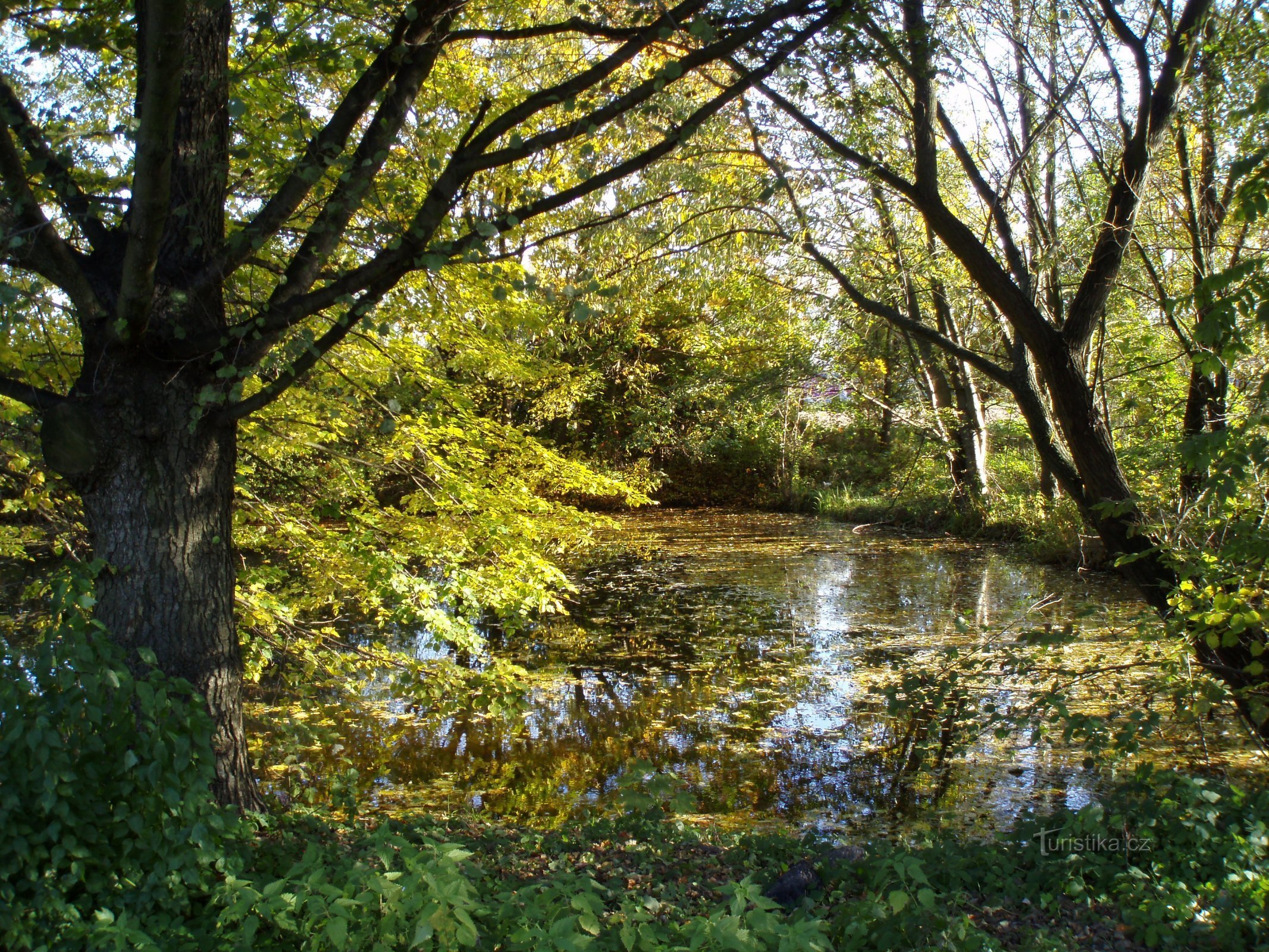 Ornst Lakes (Věkoše)