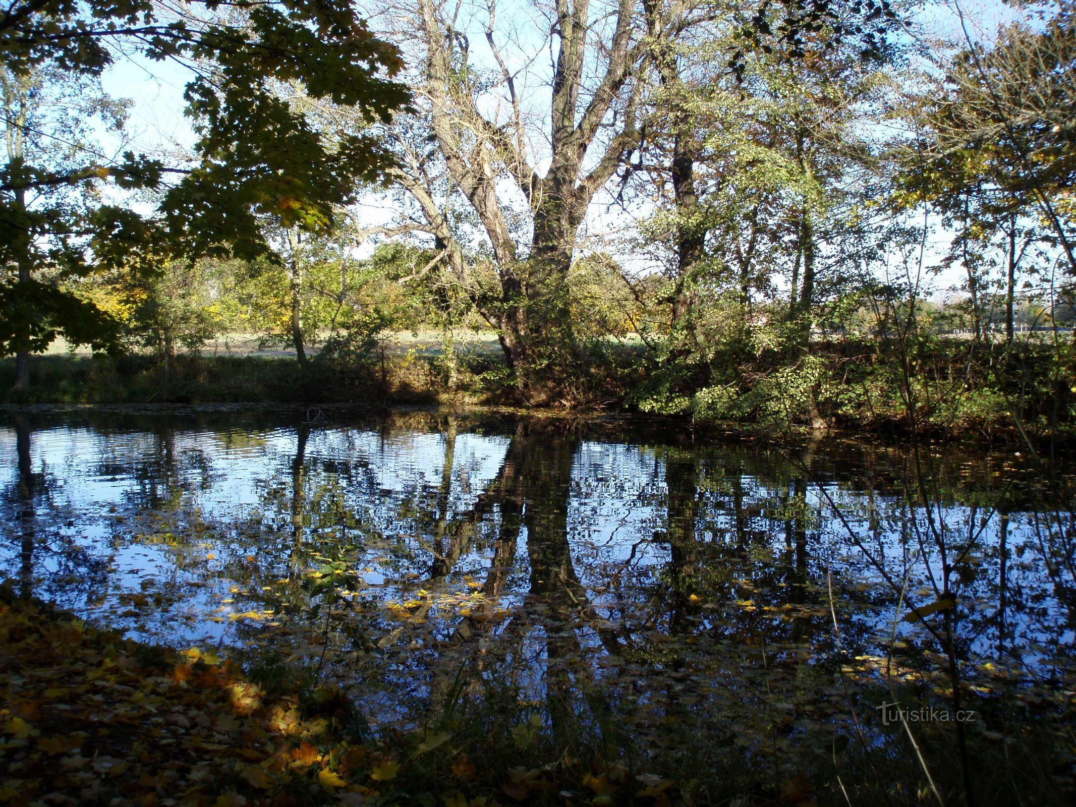 オルンスト湖 (Věkoše)