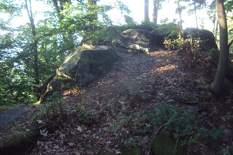 Ortel - Cvikovská hills