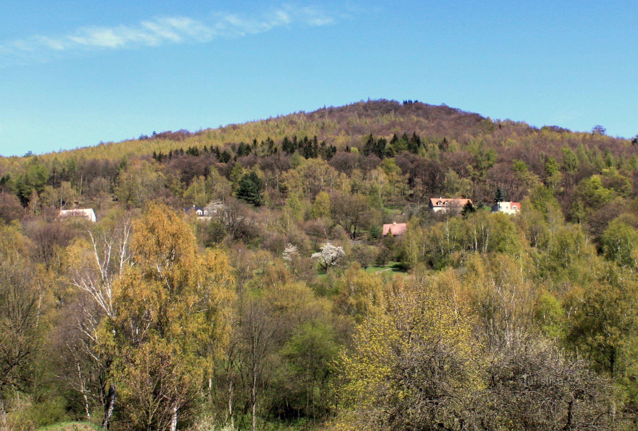 Règlement de Knetl