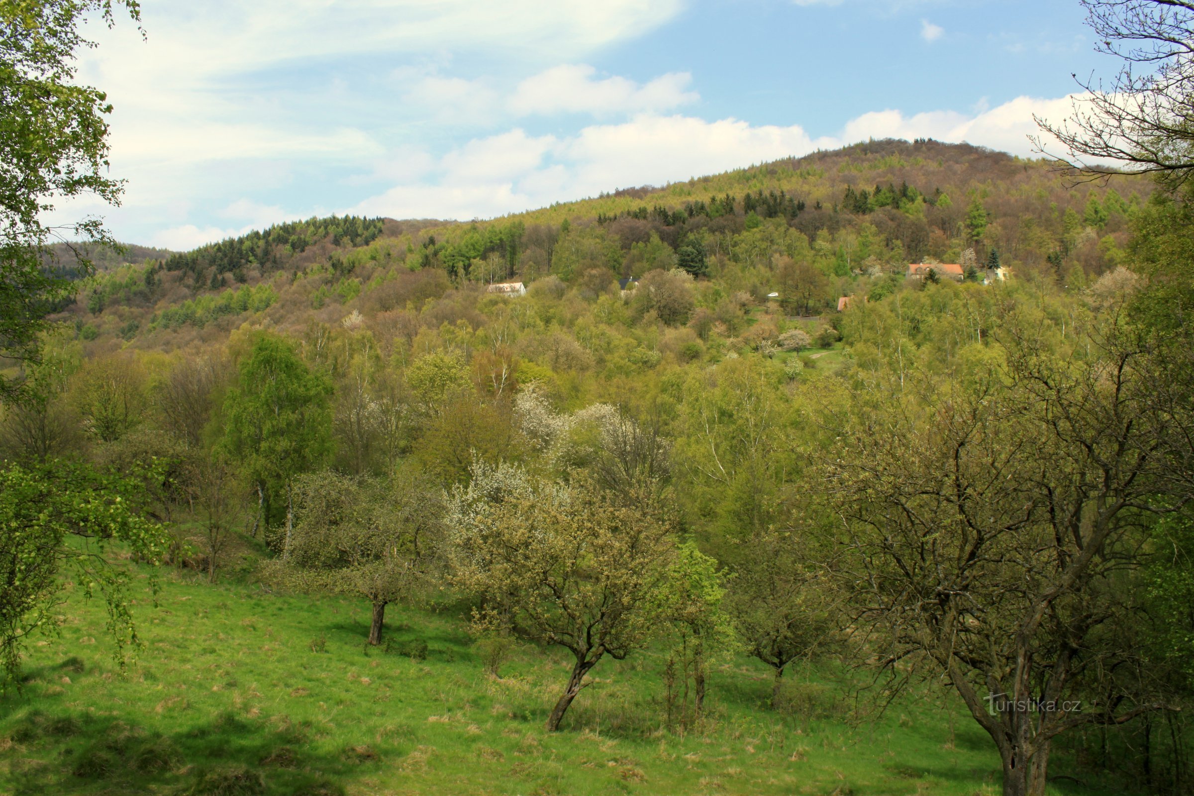 Règlement de Knetl