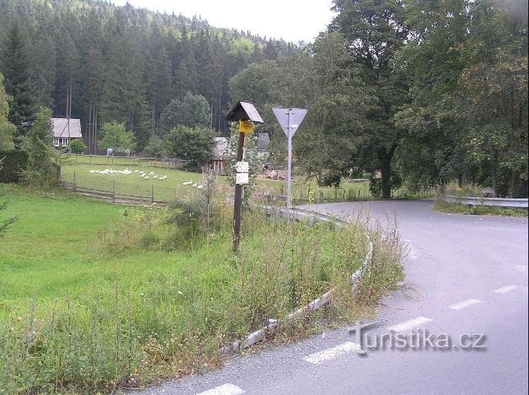 Siedlung: Blick auf die Siedlung, im Vordergrund die Hauptstraße mit Abzweigung nach Huta