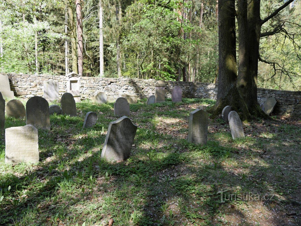 Osek, del pokopališča pri drevju