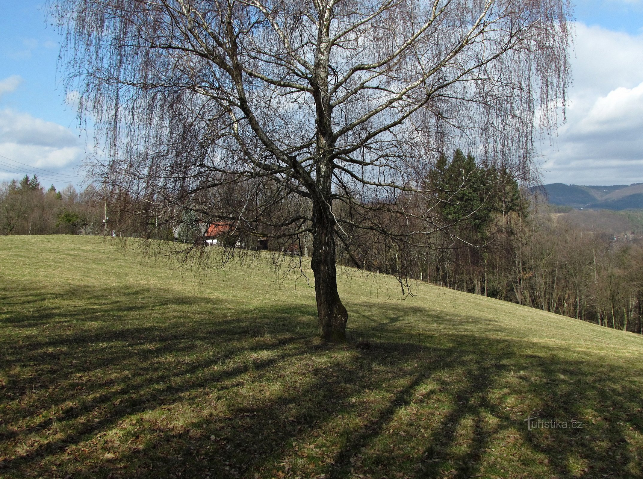 Oskers Lichtungen