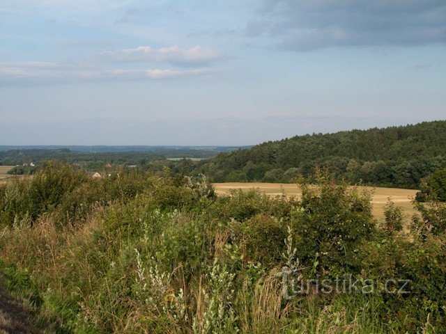 paisaje personal