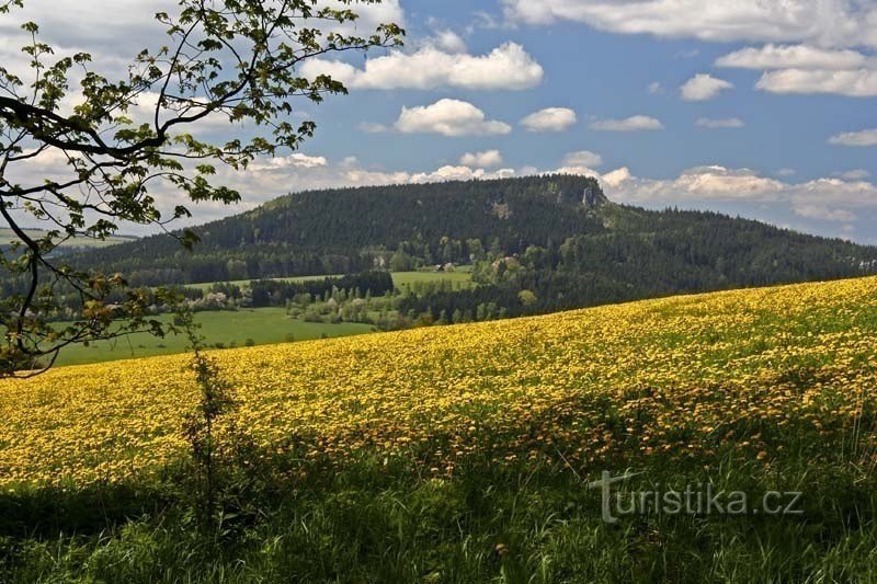 Ostaš - pohled z dálky (zdroj: internet)