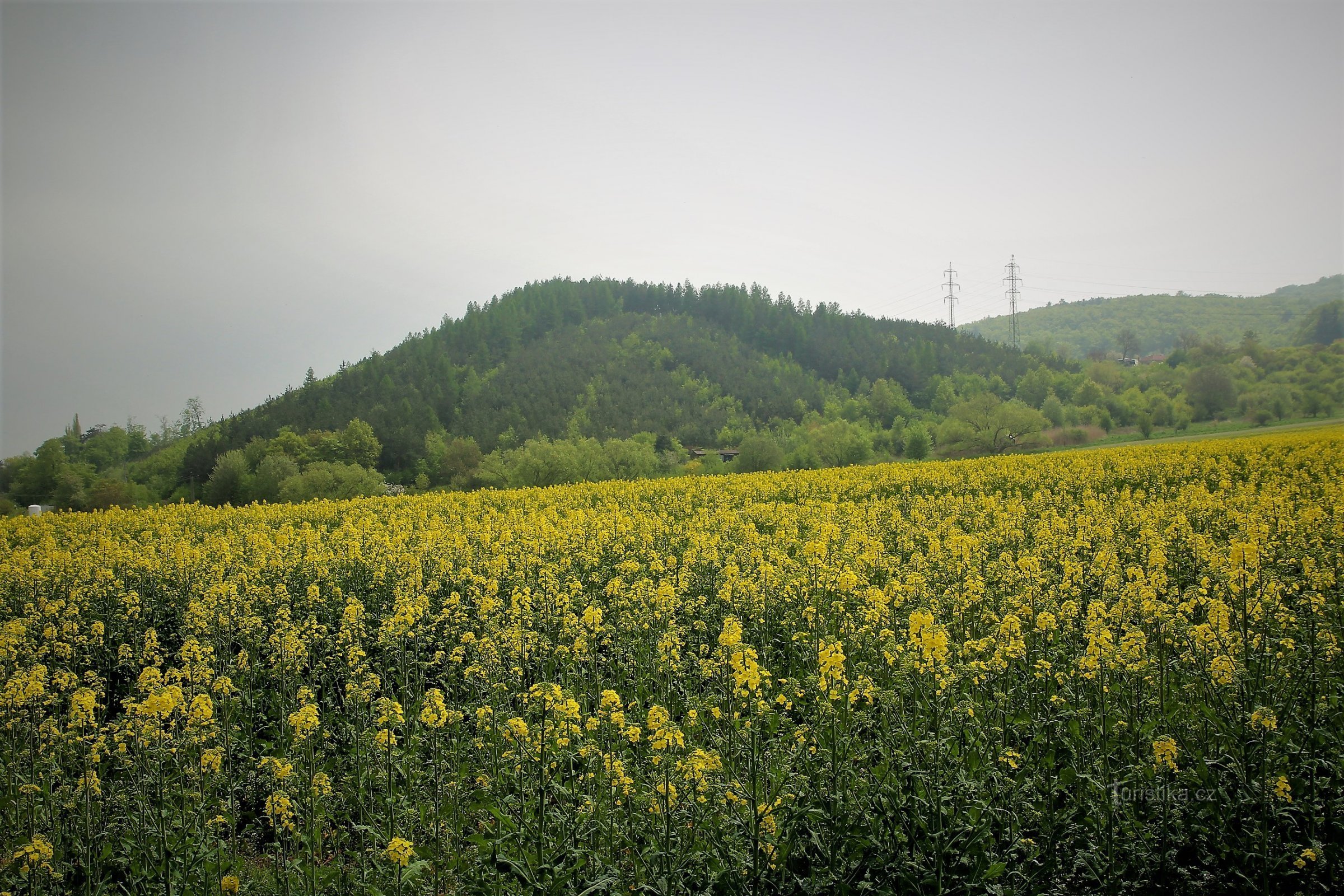 Scherpe berg vanaf de rustplaats boven het dorp