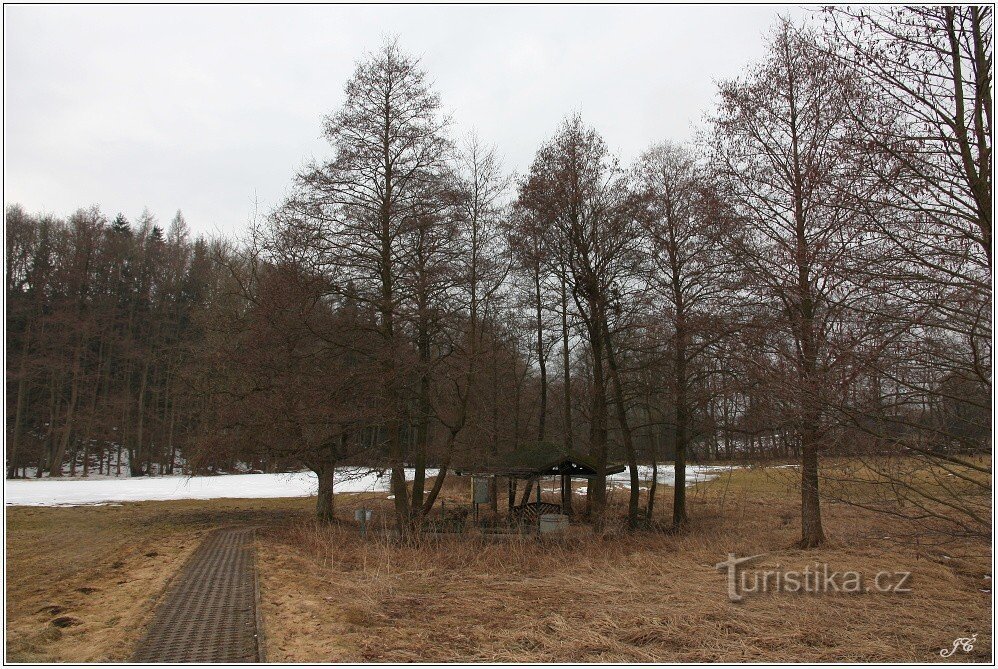 Scherp water - Třtice