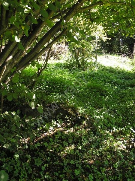 ostravický hamr č. I