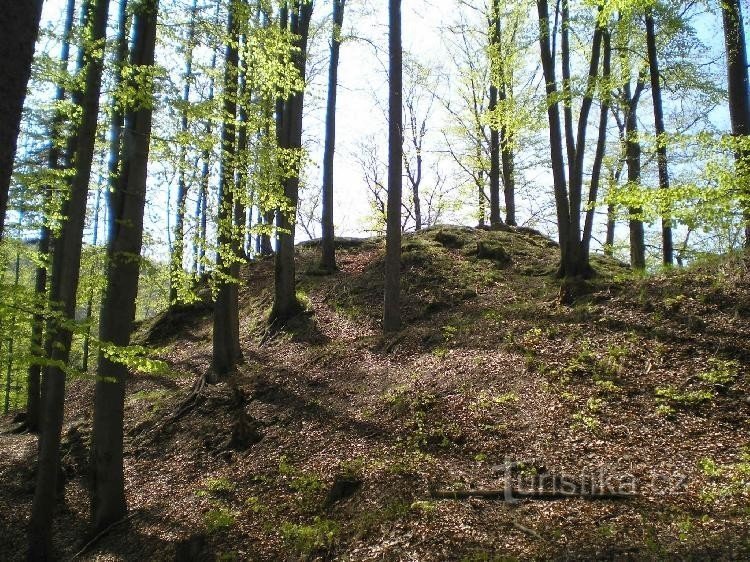 voorgebergte: piek vanuit het oosten, hier stond het kasteel