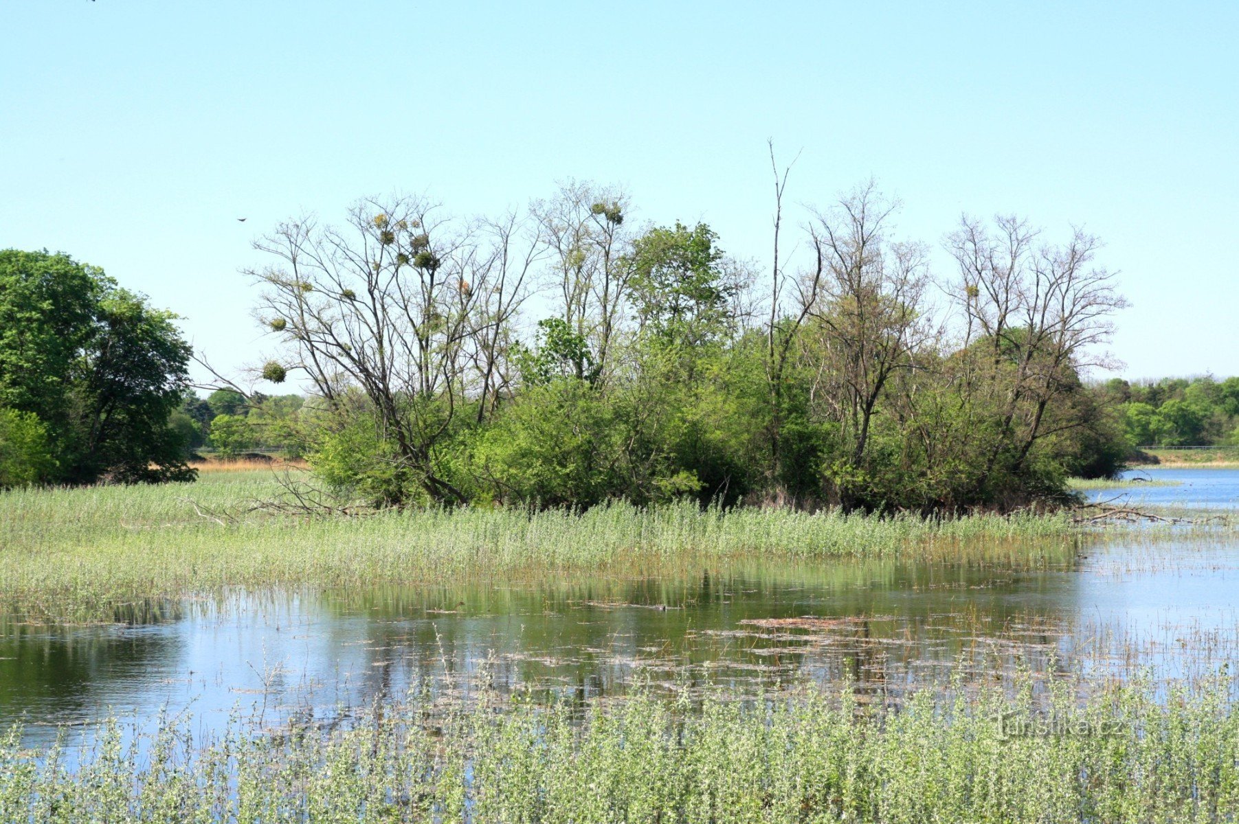 Island on Prostřední rybník